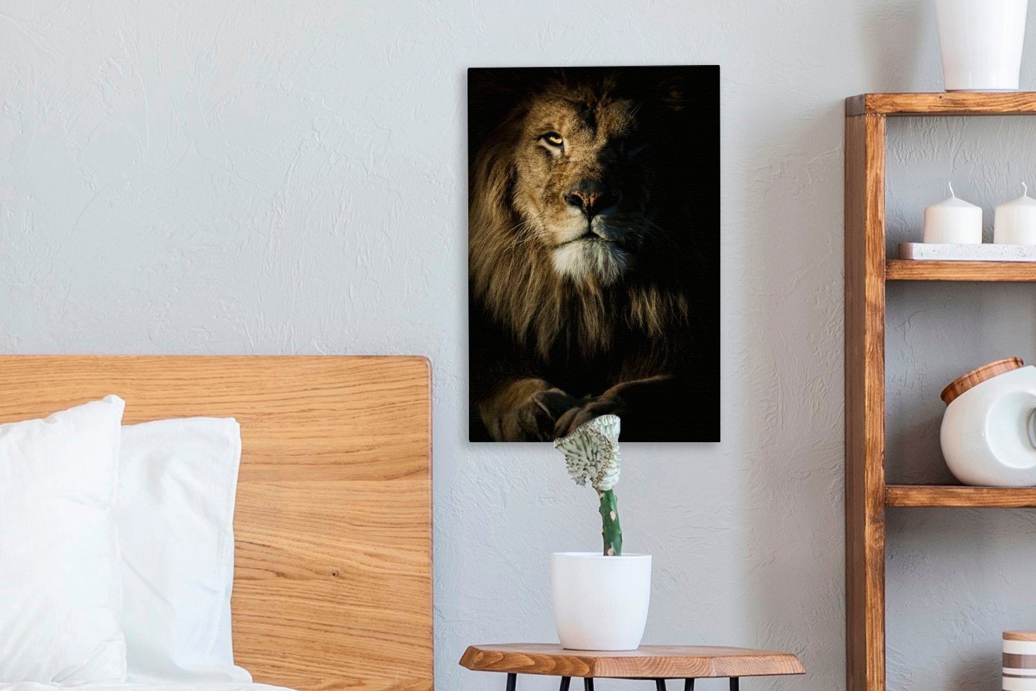 20x30 Zackenaufhänger, cm Gemälde, bespannt Löwen, fertig inkl. OneMillionCanvasses® die St), in schaut, (1 Nahaufnahme eines Kamera der Leinwandbild Leinwandbild