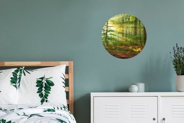 MuchoWow Gemälde Sonne - Wald - Bäume - Natur - Herbst, (1 St), Kreis Wanddekoration Forex, Rundes Wandbild, Wohnzimmer, 30x30 cm