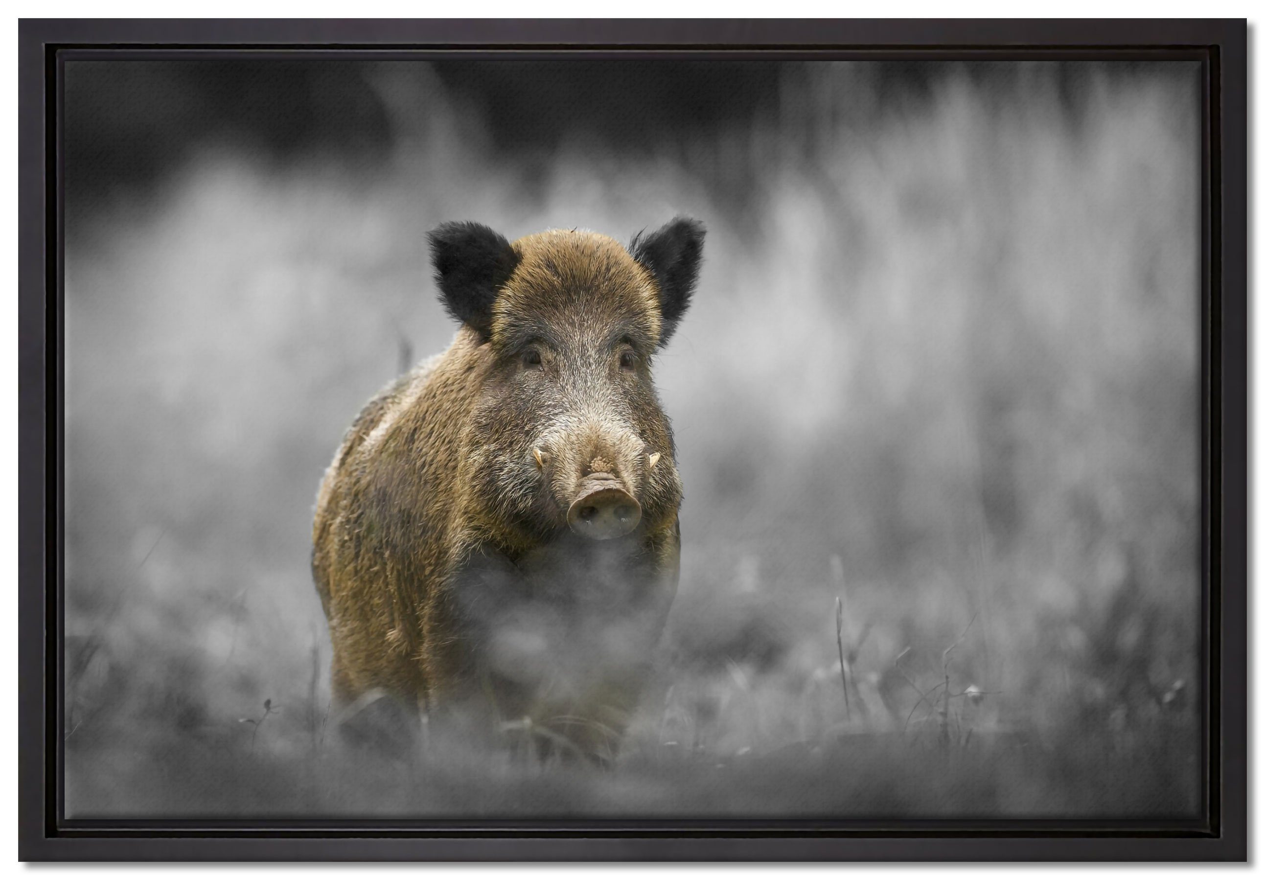 Pixxprint Leinwandbild einsames Wildschwein im Wald, Wanddekoration (1 St), Leinwandbild fertig bespannt, in einem Schattenfugen-Bilderrahmen gefasst, inkl. Zackenaufhänger