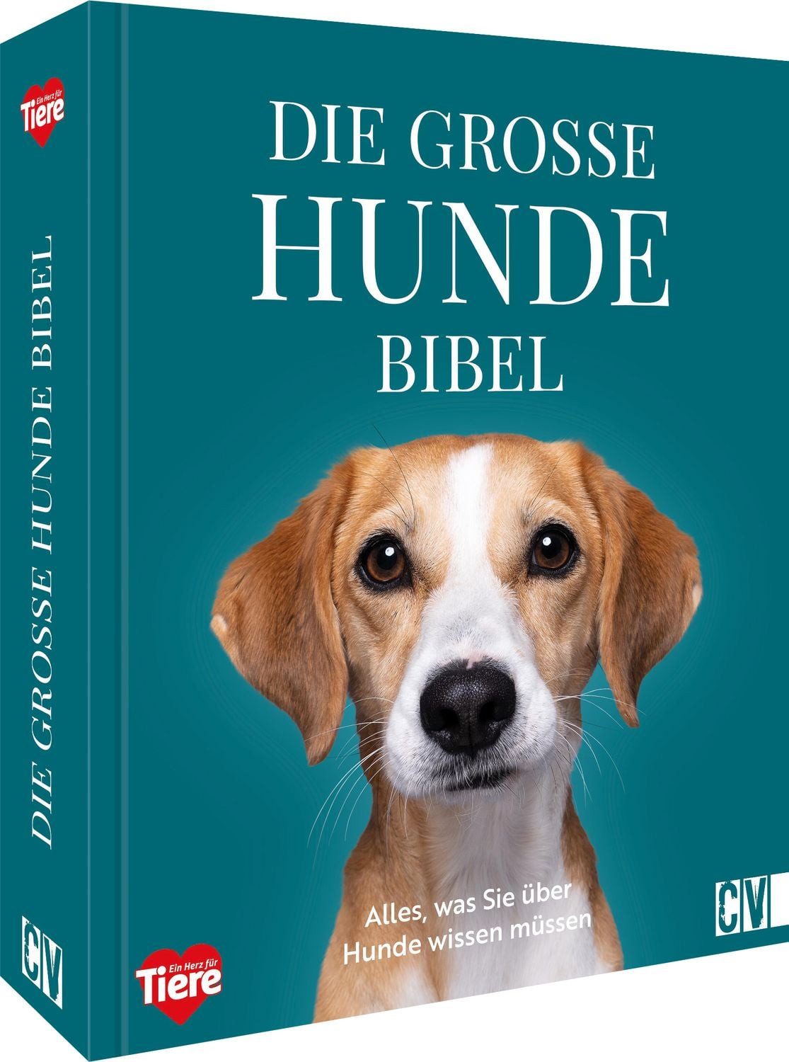 Die große Hundebibel / Stefan Lara Torres