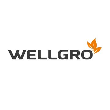 Wellgro Pillendose Große Tablettenbox für 7 Tage