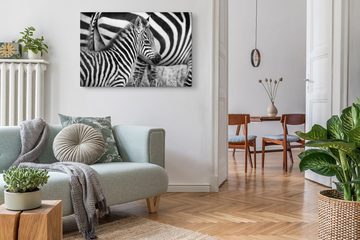Sinus Art Leinwandbild 120x80cm Wandbild auf Leinwand Kleines Zebra Zebrababy Schwarz Weiß Ti, (1 St)