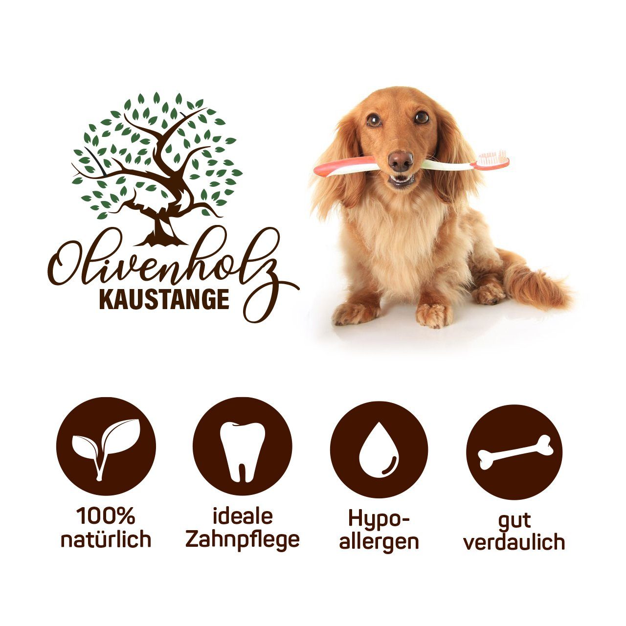 Larsson Farm Tier-Intelligenzspielzeug Hunde Olivenholz Kaustange, günstig online kaufen