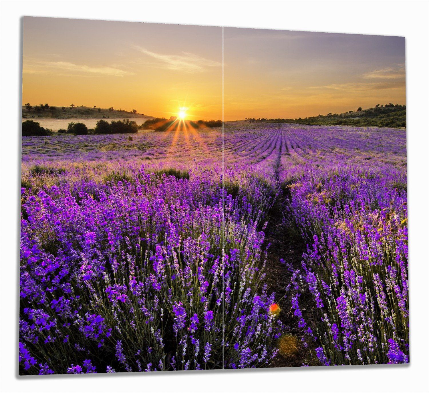 Wallario Herd-Abdeckplatte Sonnenuntergang über dem Lavendel, ESG-Sicherheitsglas, (Glasplatte, 2 tlg., inkl. 5mm Noppen), verschiedene Größen