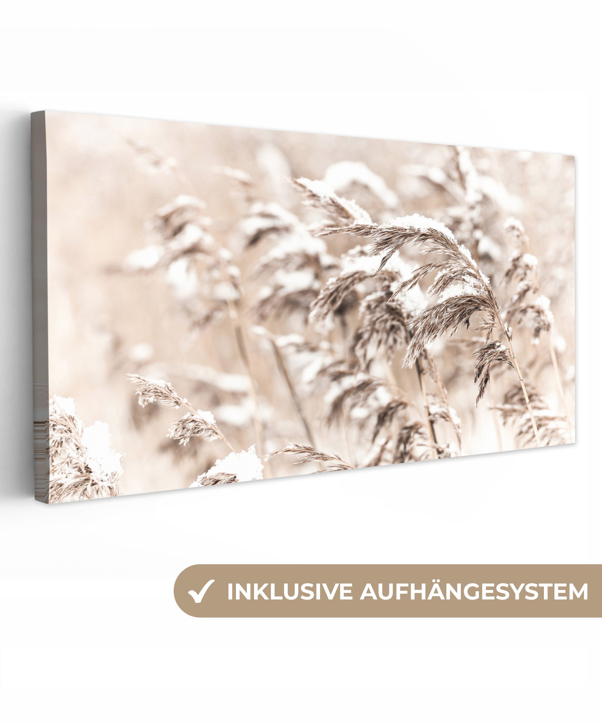 OneMillionCanvasses® Leinwandbild Panorama Winter - Pflanzen - Schnee - Nat günstig online kaufen
