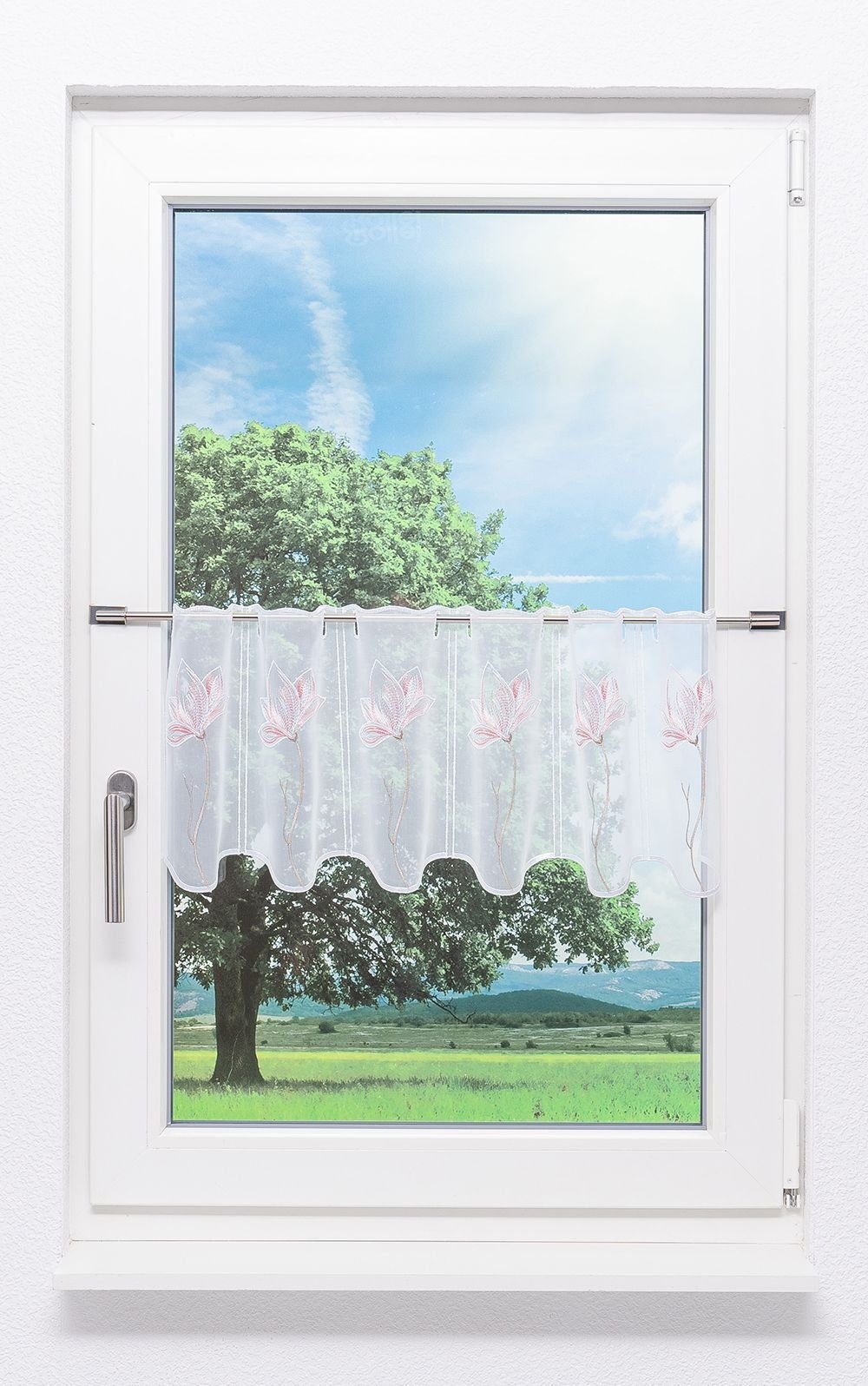 (1 HxB Spitze®, Plauener St), transparent, Magnolie, Scheibengardine 30x48cm