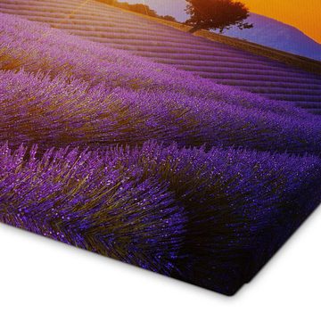Posterlounge Leinwandbild Editors Choice, Sonne über dem Lavendel, Mediterran Fotografie