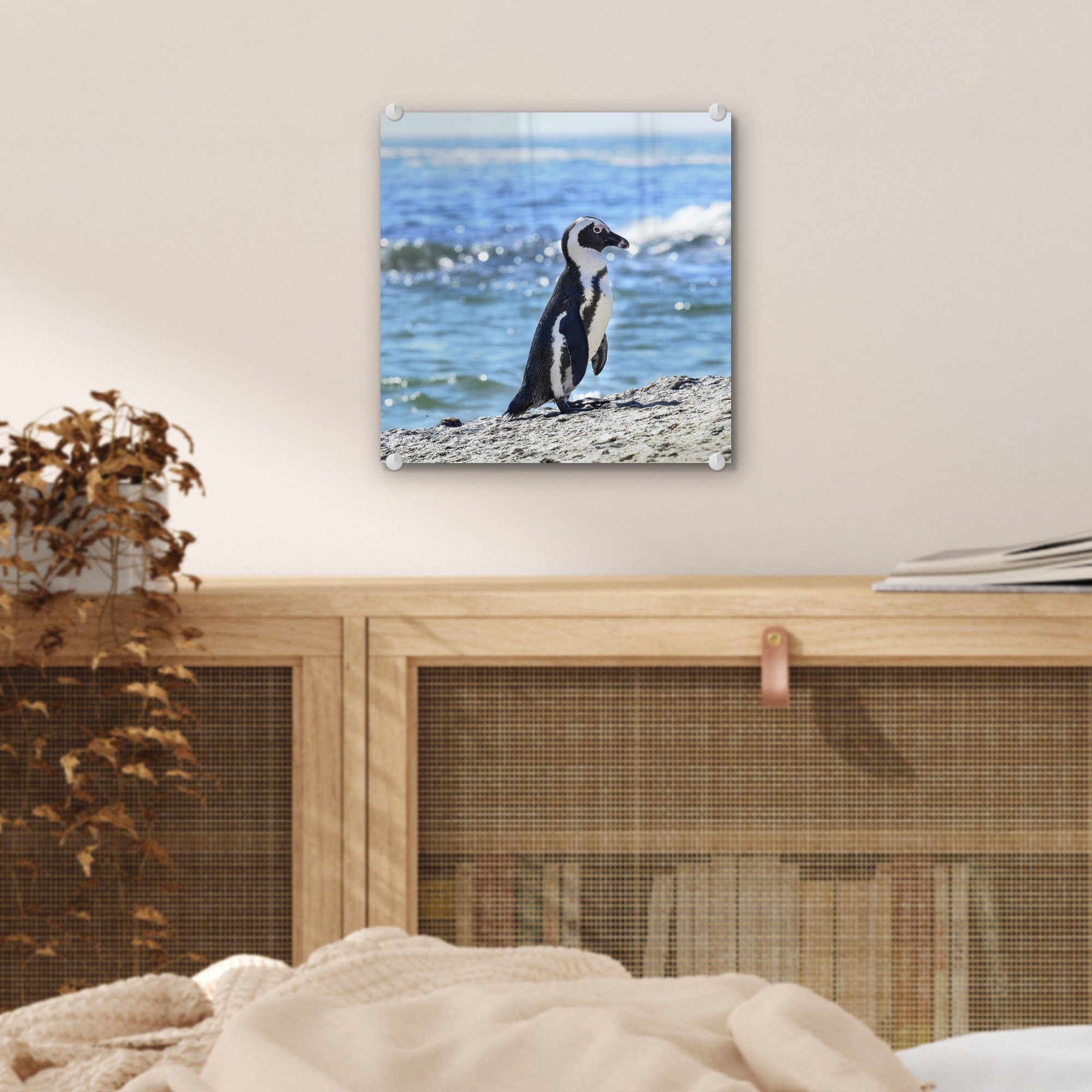 auf MuchoWow Strand Beach, am von St), Bilder - Wanddekoration Glas Wandbild auf - Boulders - Pinguin Glasbilder Acrylglasbild Glas (1 Foto