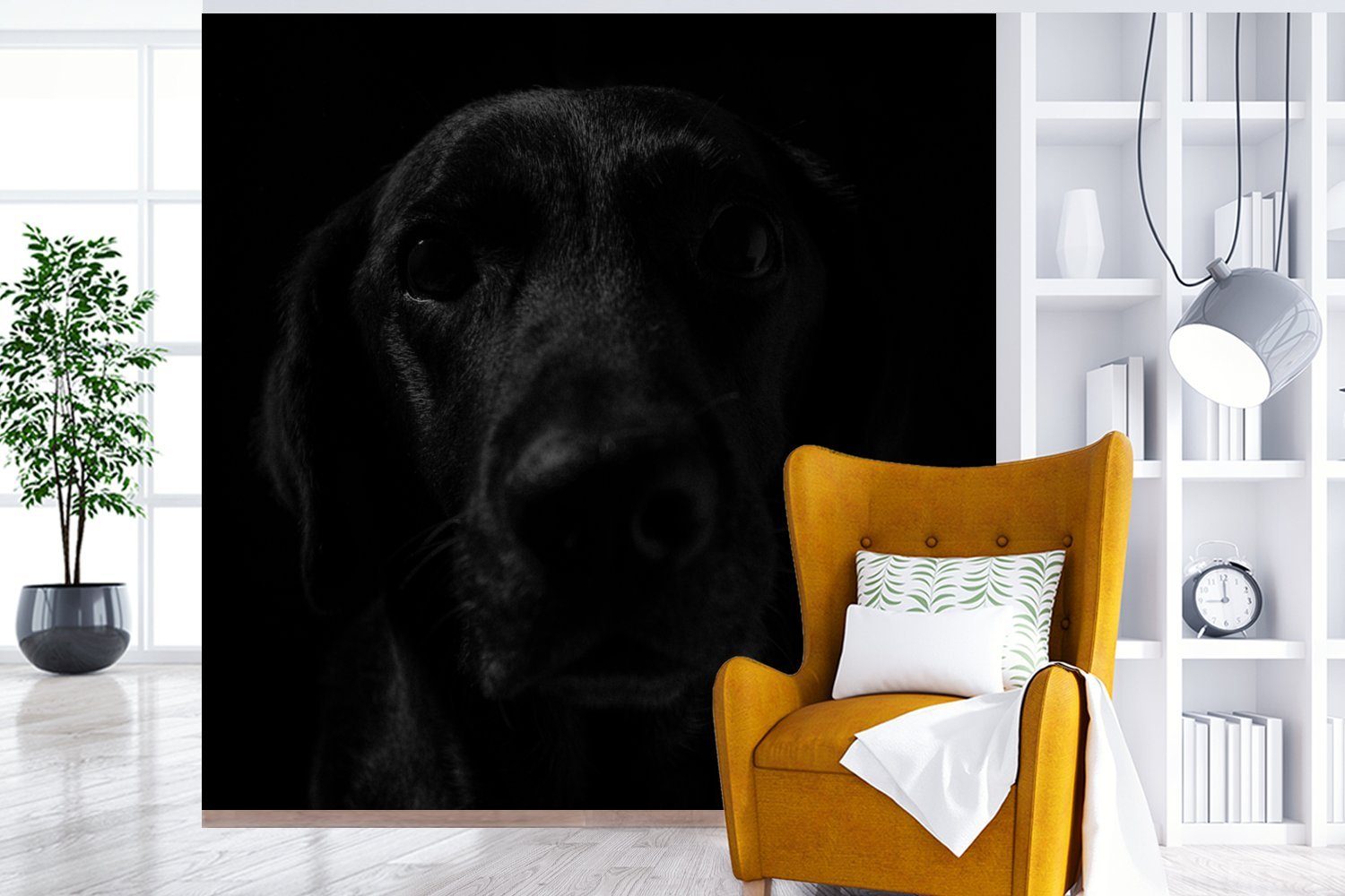 MuchoWow Fototapete Labrador, Tapete Schlafzimmer, St), - Wandtapete Vinyl Hund (5 für - Matt, Schwarz Wohnzimmer oder bedruckt