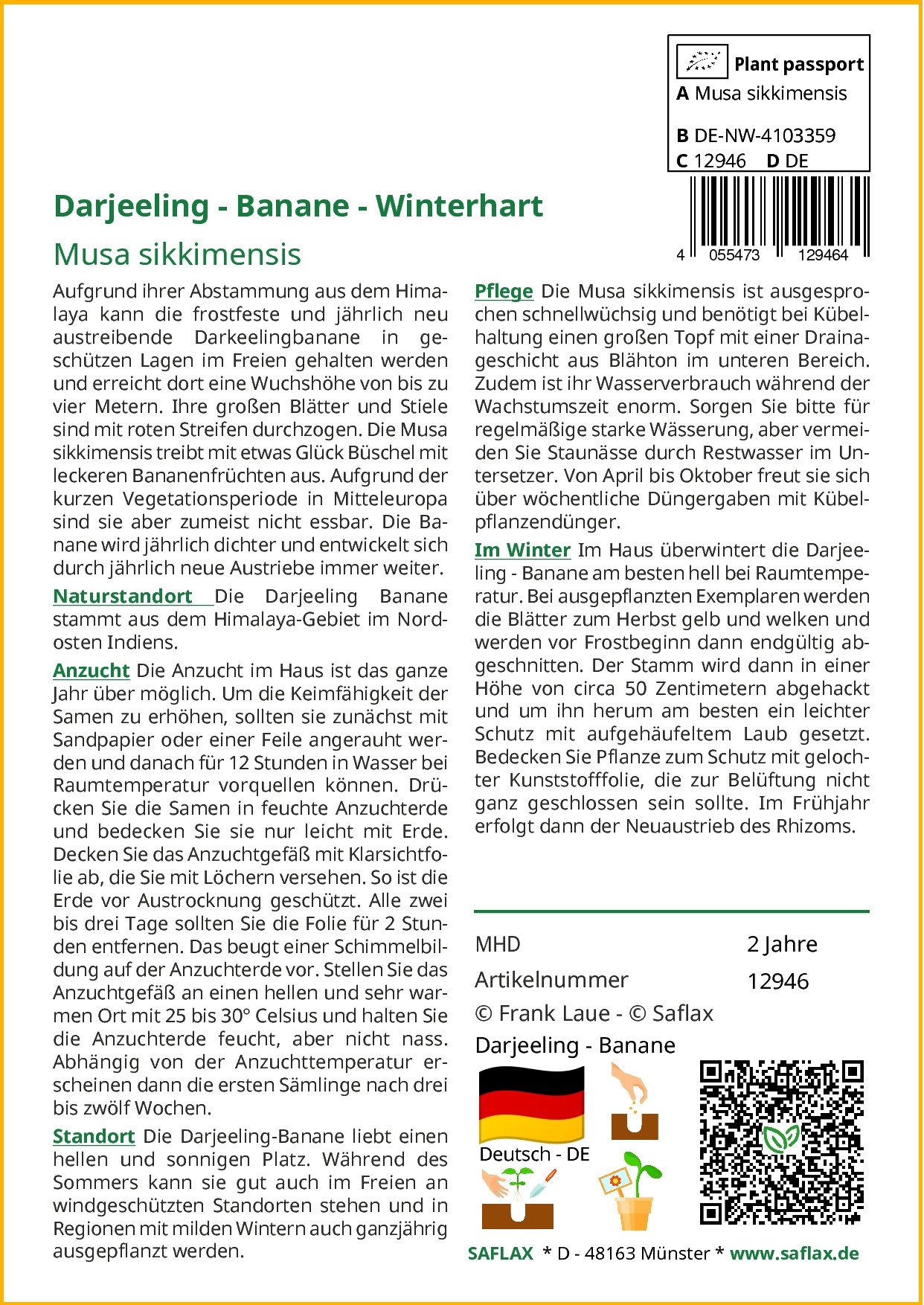SAFLAX Blumensamen SAFLAX - Samen - Darjeeling - Banane günstig online kaufen