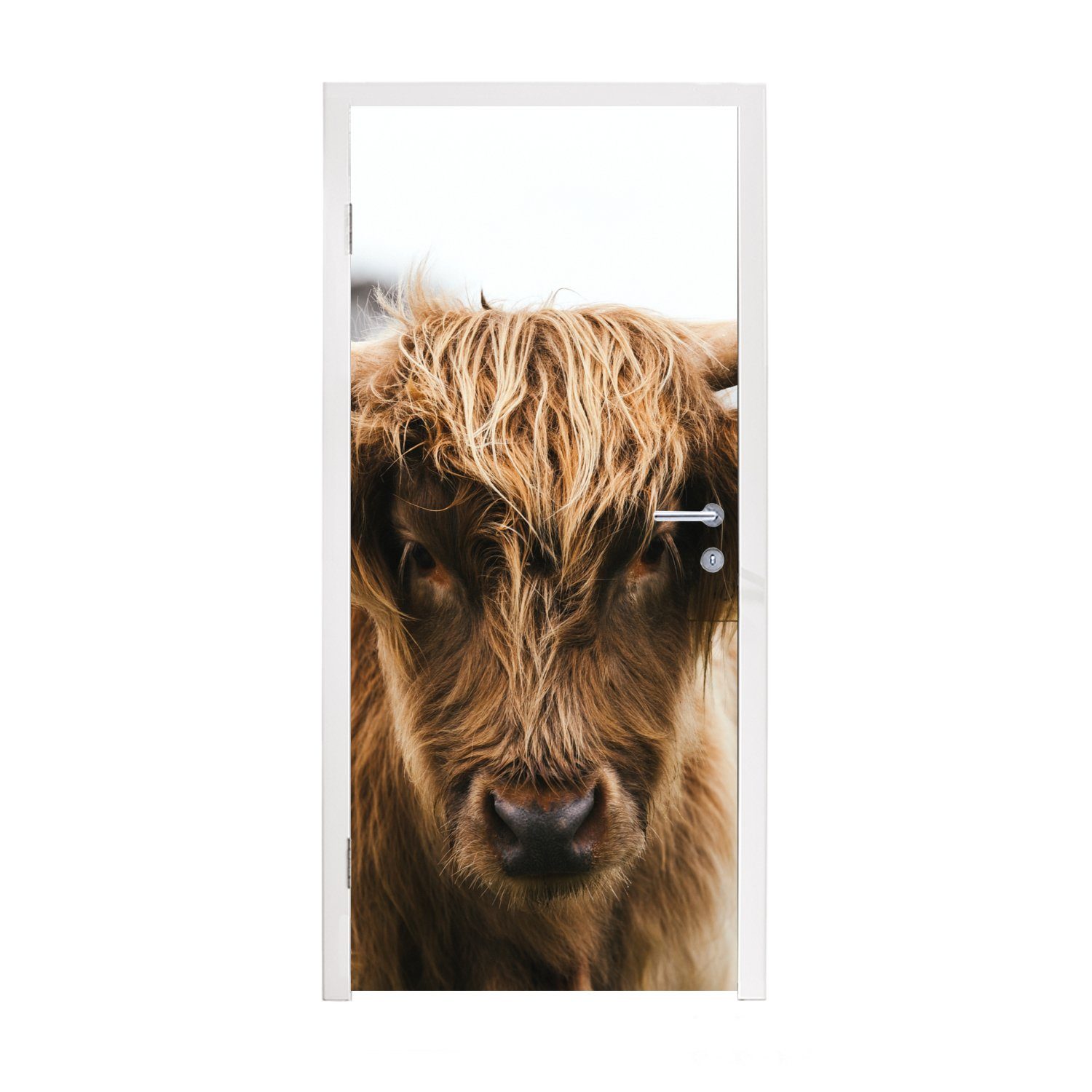 MuchoWow Türtapete Schottischer Highlander - Kuh - Gras - Tiere - Natur, Matt, bedruckt, (1 St), Fototapete für Tür, Türaufkleber, 75x205 cm