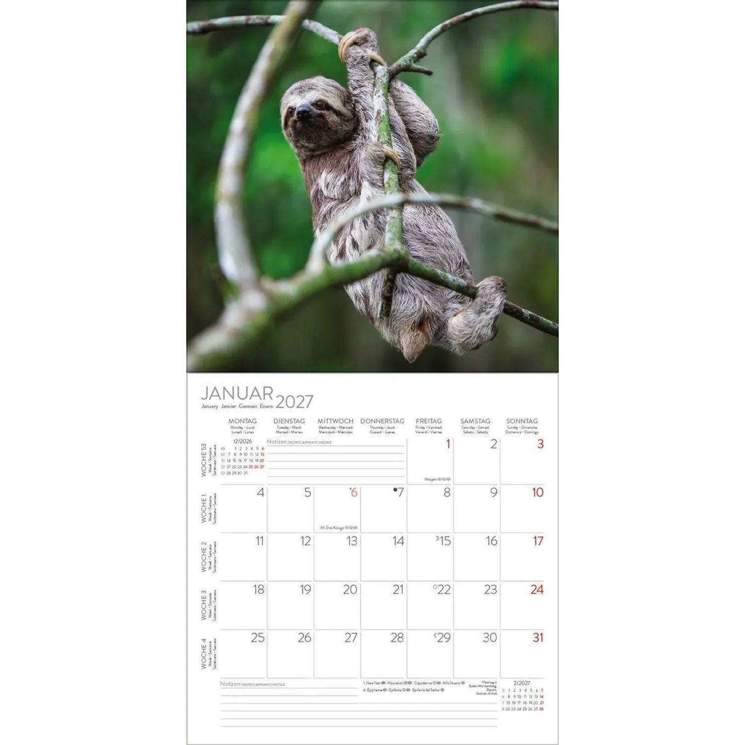 Korsch Verlag Wandkalender Faultier 2027