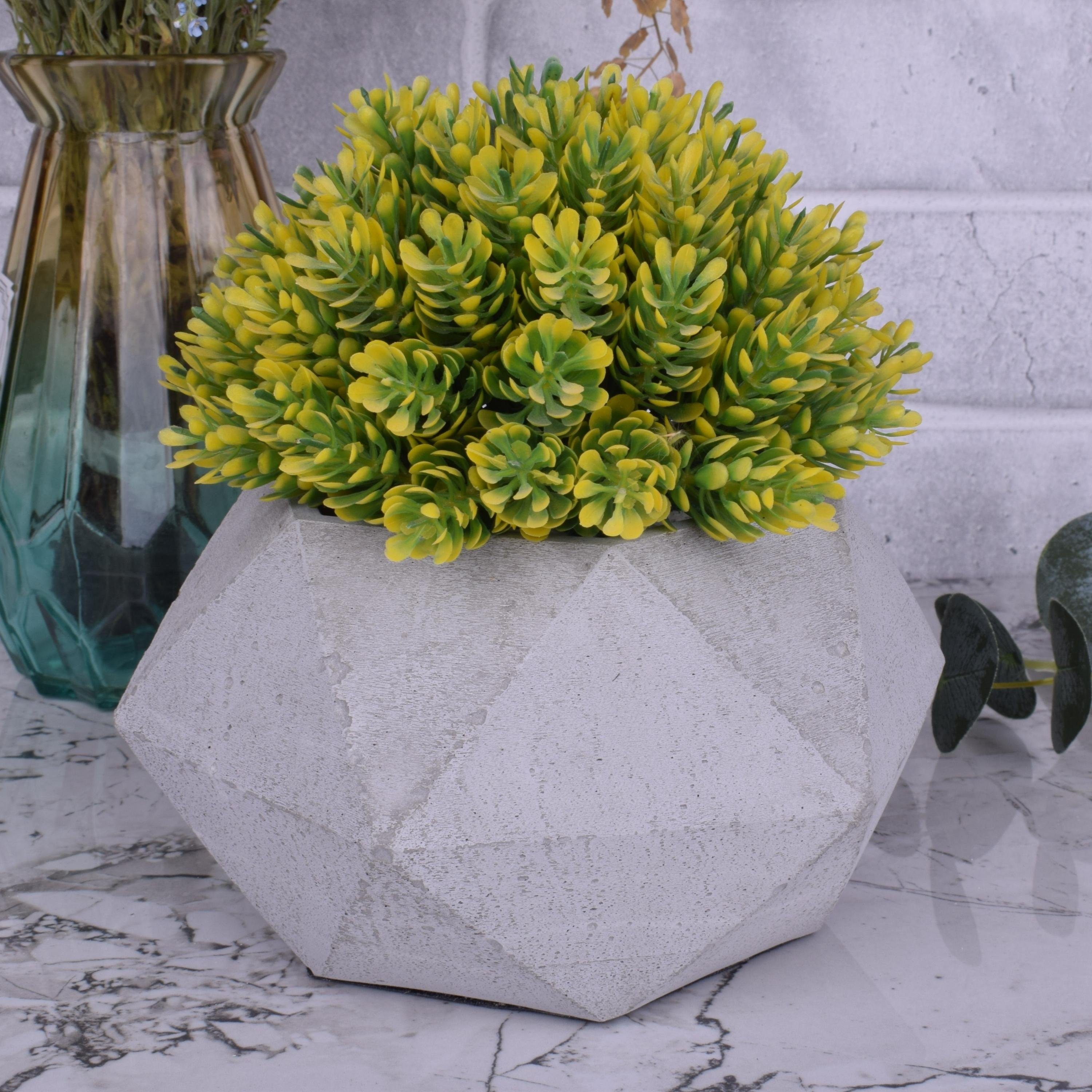 TIVENDIS Dekoschale Design Blumentopf in "Sofi" aus grau Beton
