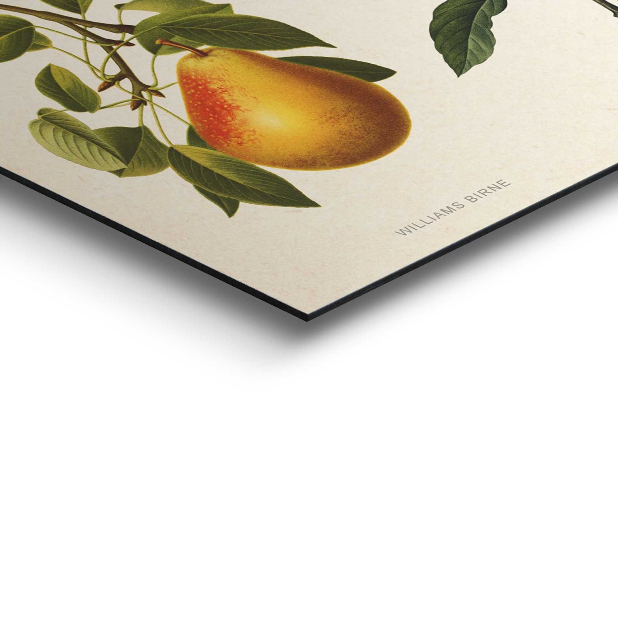 Reinders! Wandbild Wandbild Fruchte Nostalgisch - Früchte - Konfitüre, Obst  (1 St)