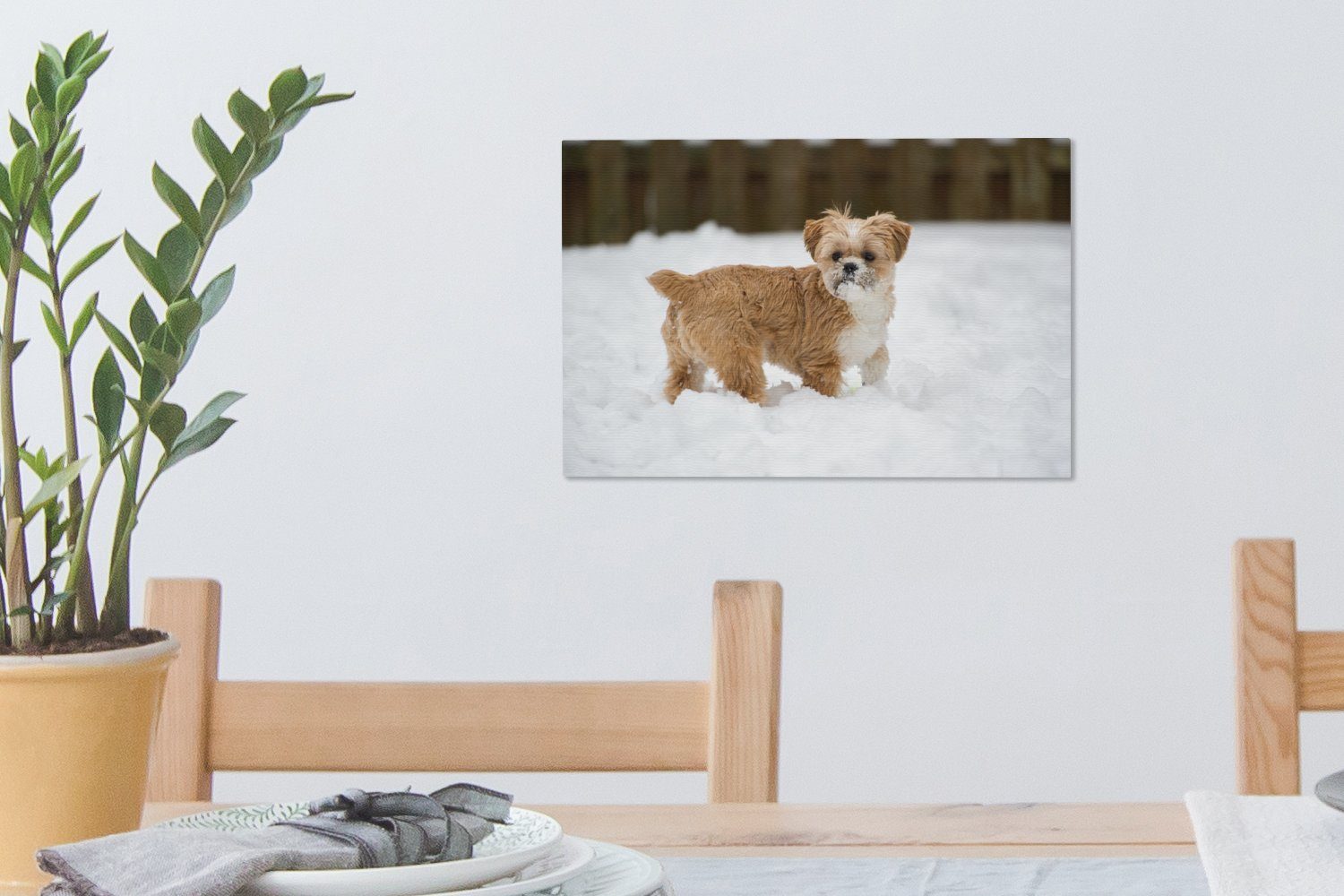 Schnee, Hund spielt cm St), Wandbild 30x20 Leinwandbilder, Aufhängefertig, OneMillionCanvasses® Leinwandbild im Wanddeko, Tzu Shih (1