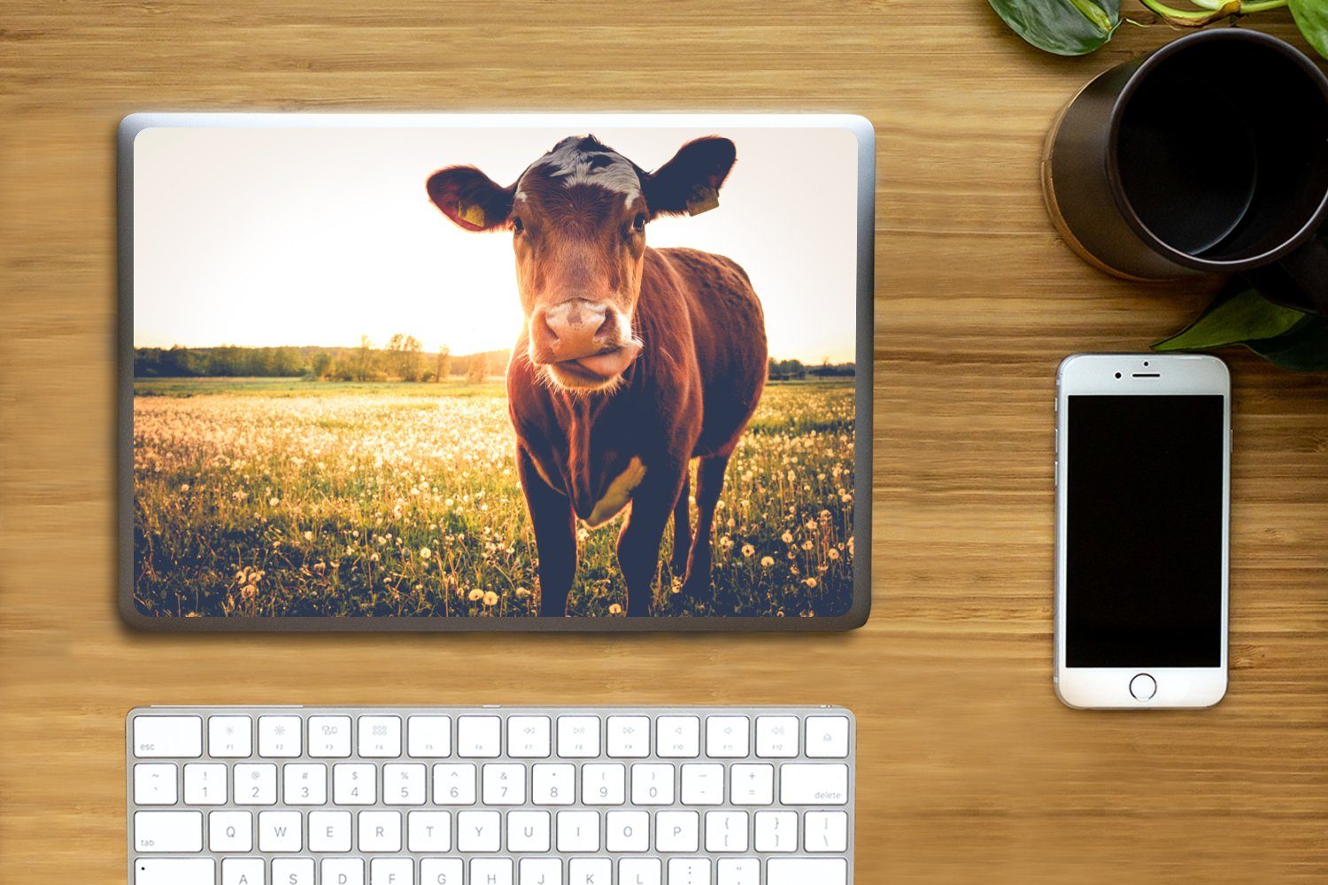 Thumbnail - MuchoWow Laptop-Aufkleber Kuh - Sonnenuntergang - Blumen - Gras - Tiere