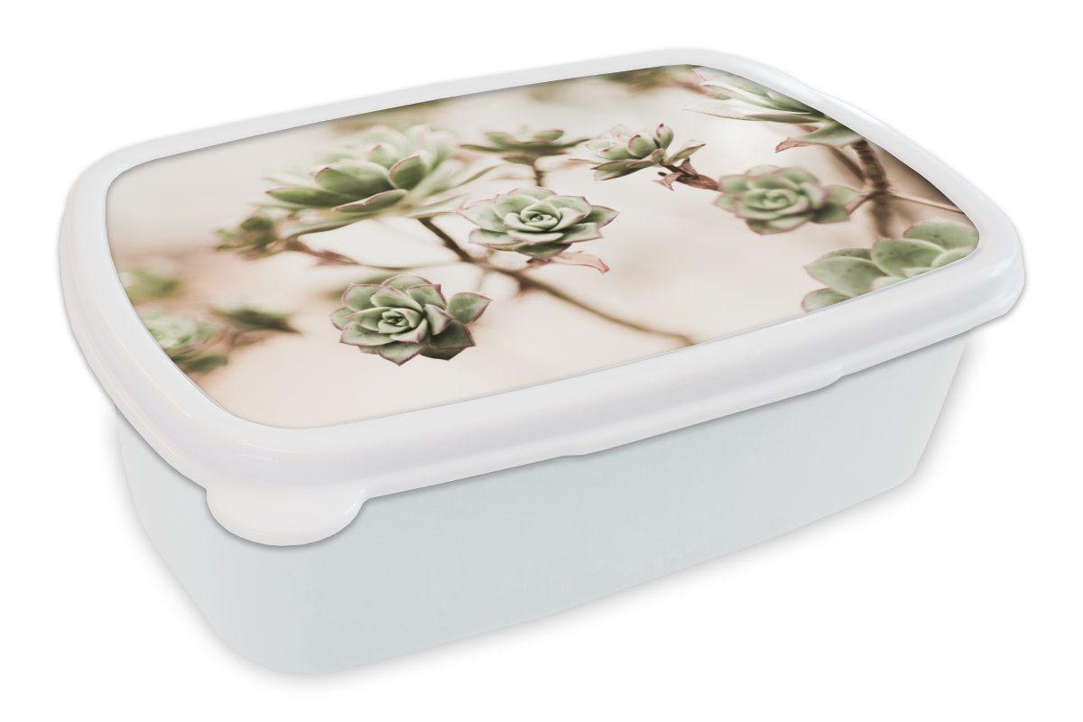 MuchoWow Lunchbox für - und weiß Kunststoff, Blumen Mädchen Jungs und Zweige, (2-tlg), für Brotbox Erwachsene, Vetplant Brotdose, Kinder 