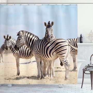 Abakuhaus Duschvorhang Moderner Digitaldruck mit 12 Haken auf Stoff Wasser Resistent Breite 175 cm, Höhe 180 cm, Zebra Namibia Afrika Safari