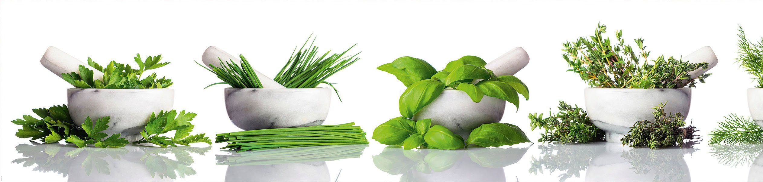 Express Küchen Küchenrückwand Kräuter, (1-tlg). Reduzierter Preis € 314,99. Unverbindliche Preisempfehlung € 499,80