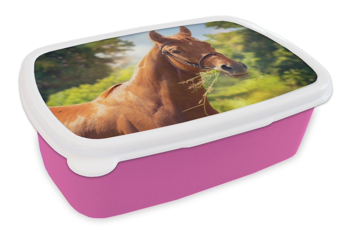 MuchoWow Lunchbox Pferd - Licht - Porträt, Kunststoff, (2-tlg), Brotbox für Erwachsene, Brotdose Kinder, Snackbox, Mädchen, Kunststoff rosa