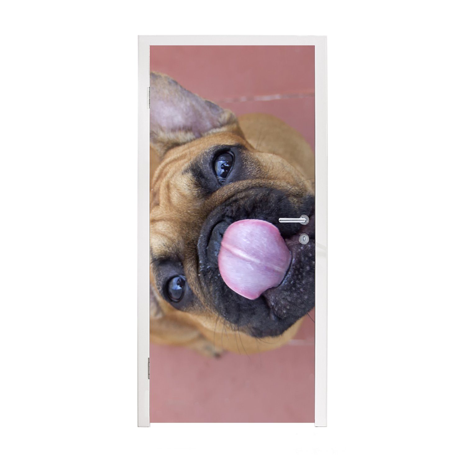 MuchoWow Türtapete Ein einer Französischen (1 Welpe für bedruckt, St), Fototapete Tür, Türaufkleber, cm Matt, 75x205 Bulldogge