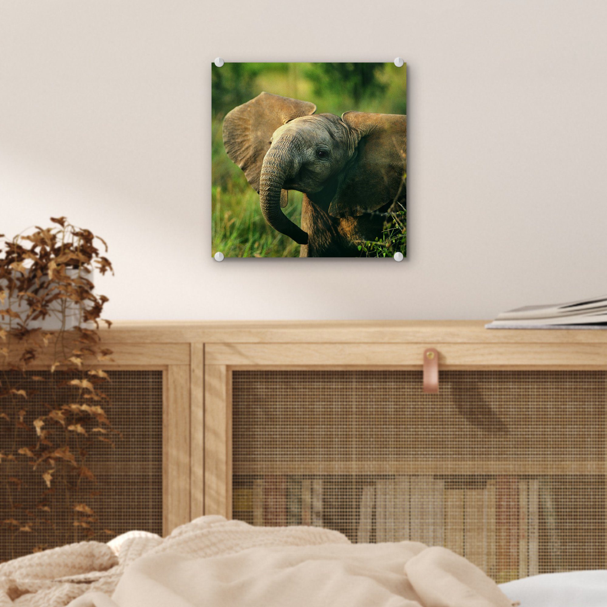 Acrylglasbild Bilder Tiere - - - Glas MuchoWow Wanddekoration Glasbilder - Elefant (1 Foto Wandbild - Grün auf Natur, St), Glas auf -