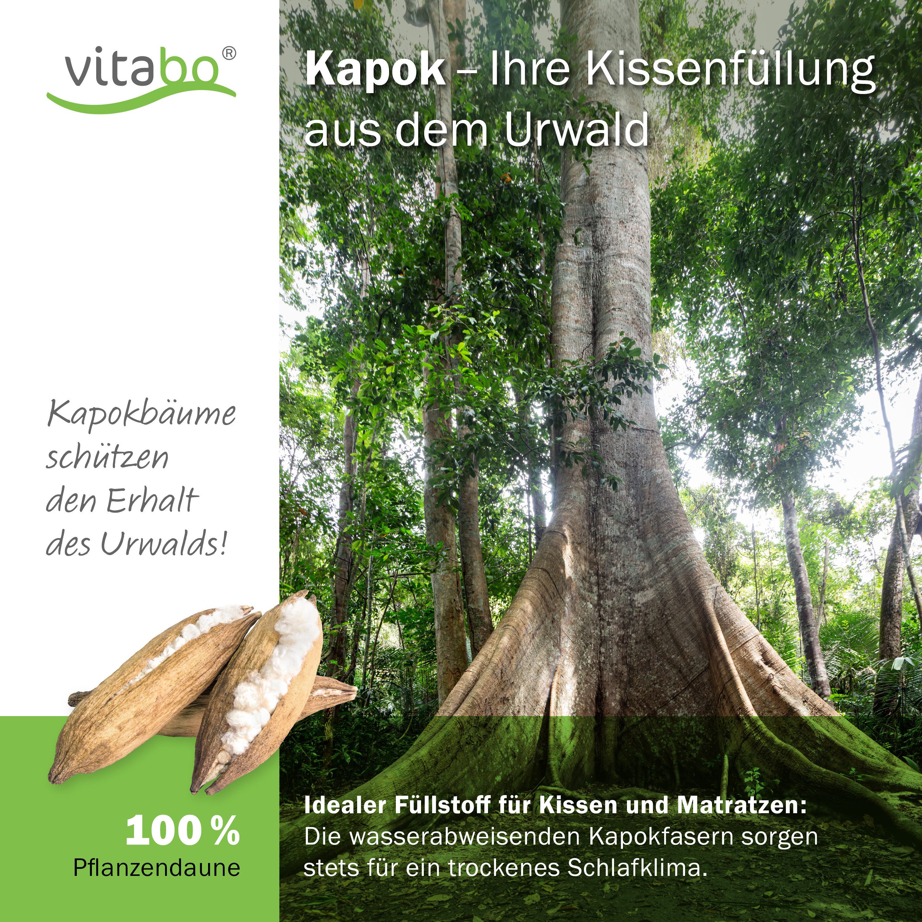 Klappmatratze Kapok Matratze - 120x200x8cm - natürliches Reisebett, Baumwollbezug, Vitabo, 8 cm hoch