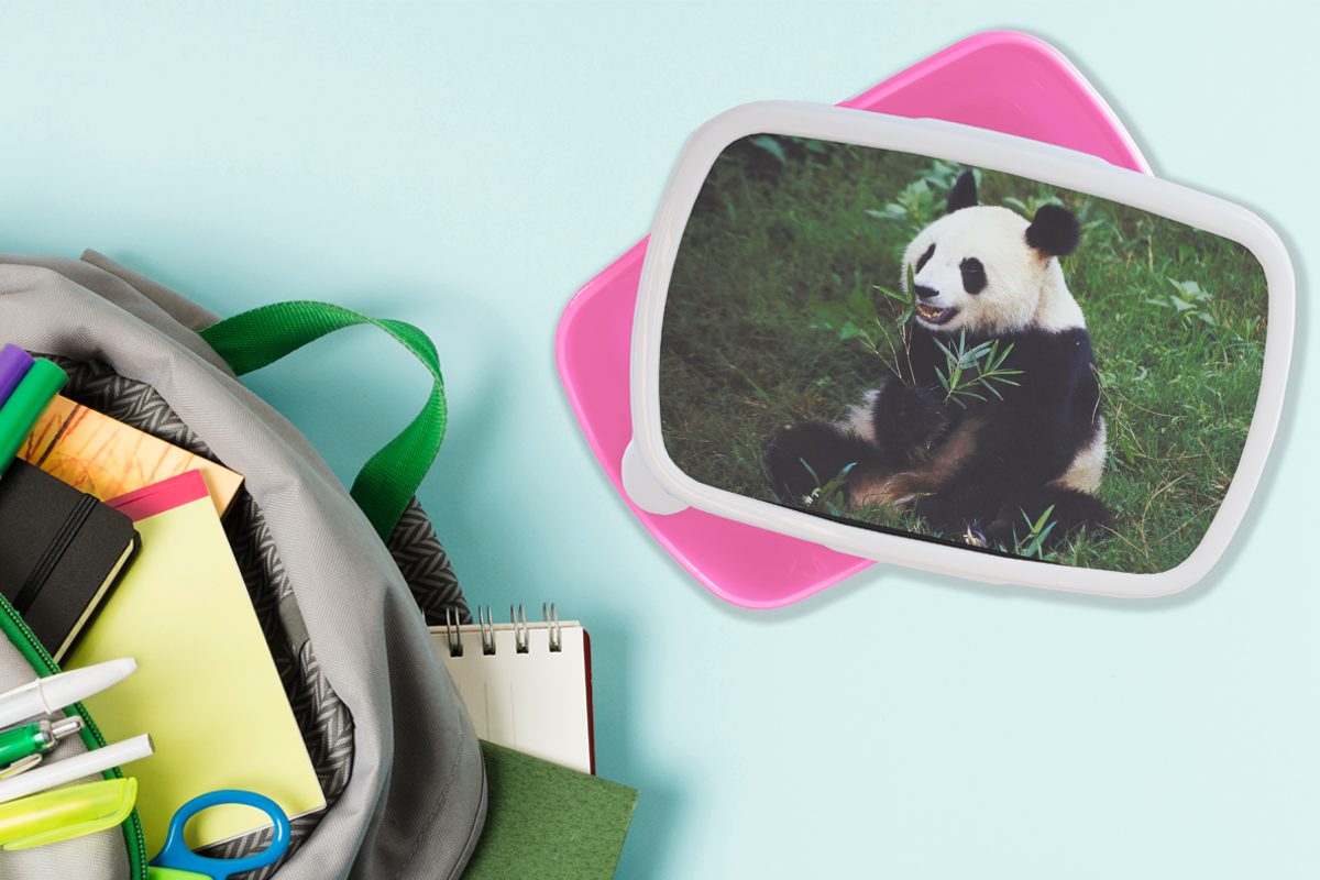 Tiere für Gras, Kunststoff, Erwachsene, Mädchen, Kinder, Wilde rosa MuchoWow - - Bambus Kunststoff (2-tlg), Brotbox Lunchbox Snackbox, Panda - Brotdose