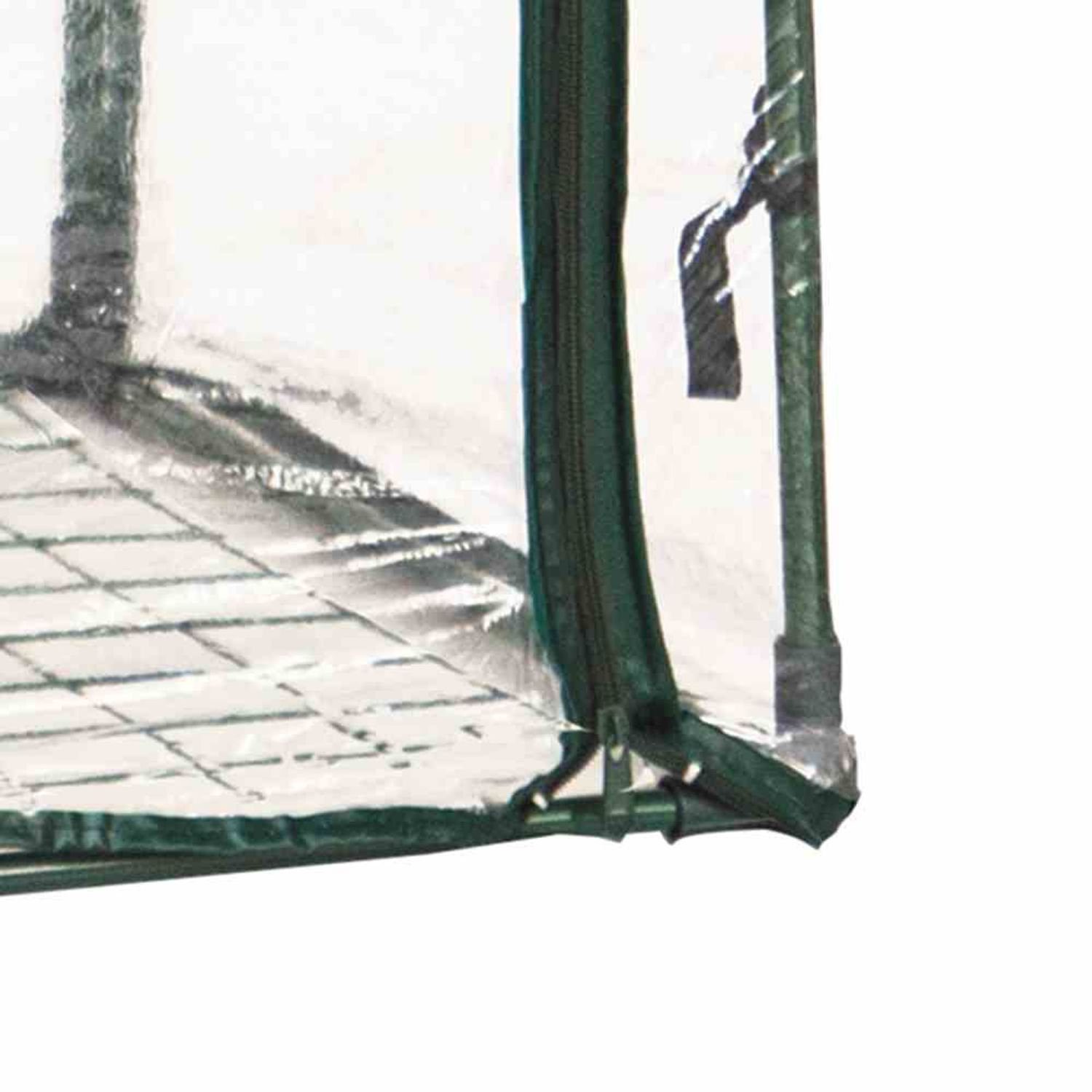 Siena Garden Gewächshaus Tomatengewächshaus Basic Maße: 100 x 50 x 150 cm, Farbe: grün