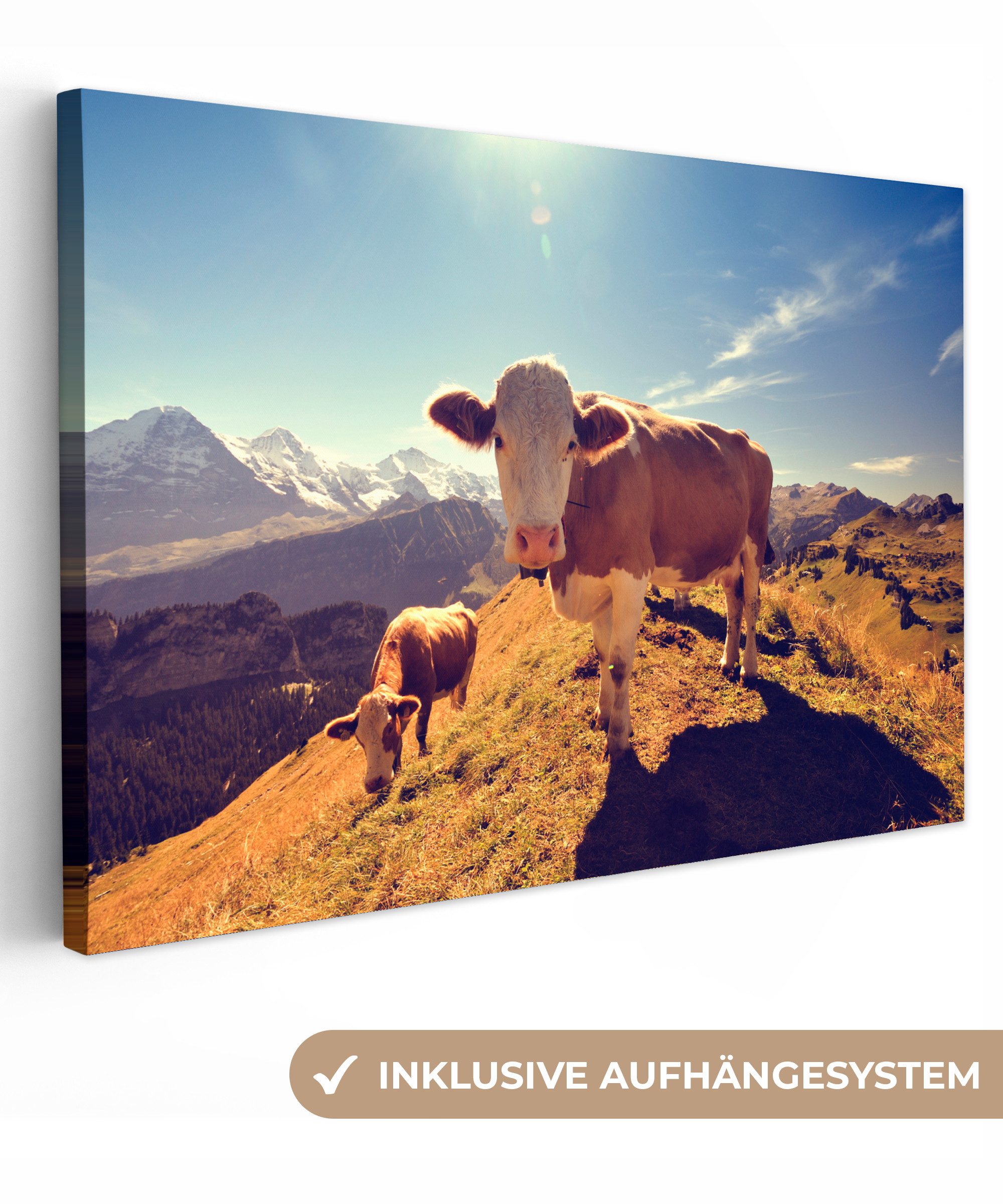 OneMillionCanvasses® Leinwandbild Kühe - Licht - günstig online kaufen