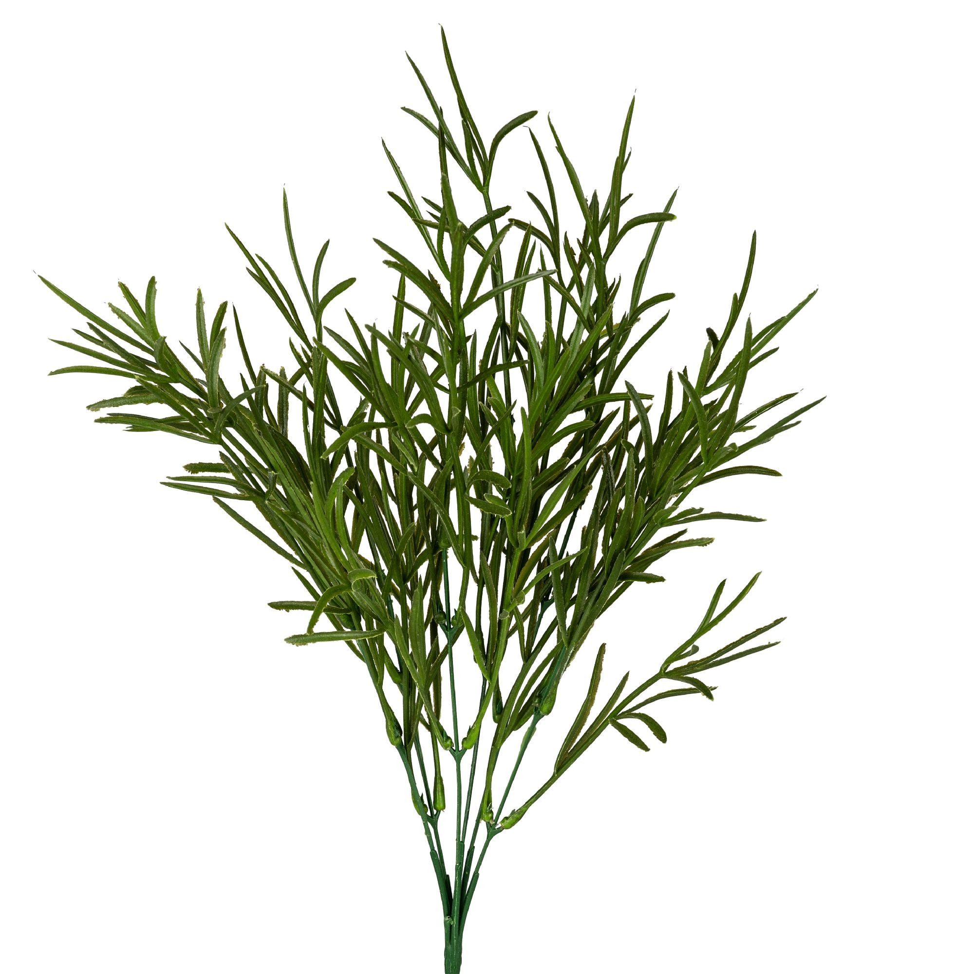 Kunstblume Frühlingszeit, formano, Höhe 40 cm, Farbe: Grün, Motiv: Gräser günstig online kaufen