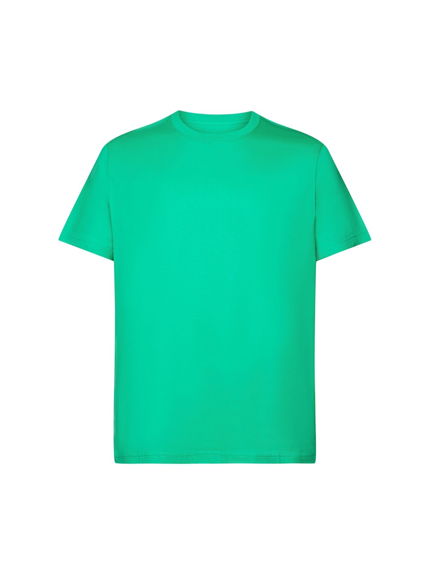 Esprit Collection T-Shirt Rundhals-T-Shirt aus Pima-Baumwolljersey (1-tlg) GREEN