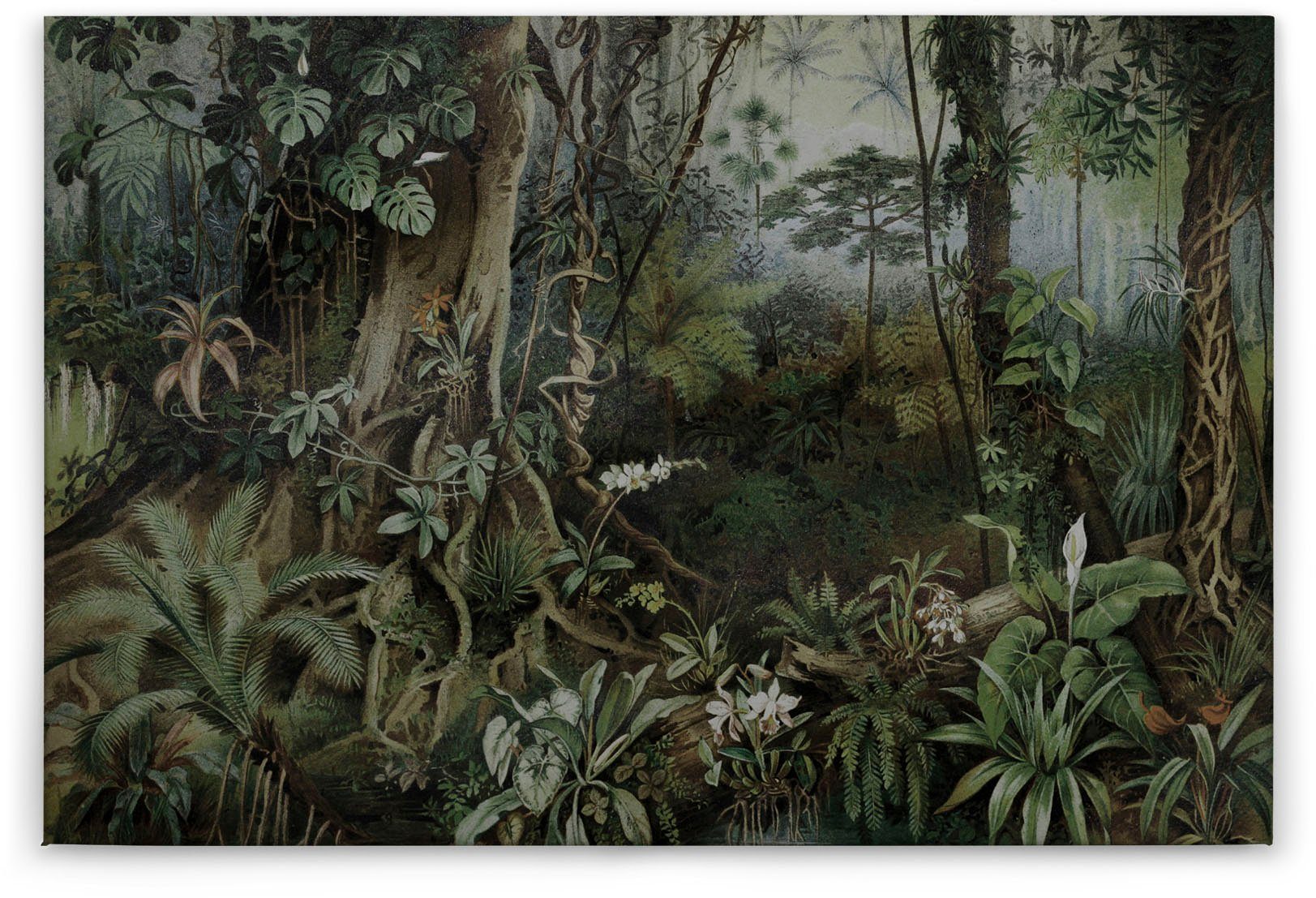 A.S. Création Leinwandbild jungle, (1 St), grün Keilrahmen Wald Bild Dschungel