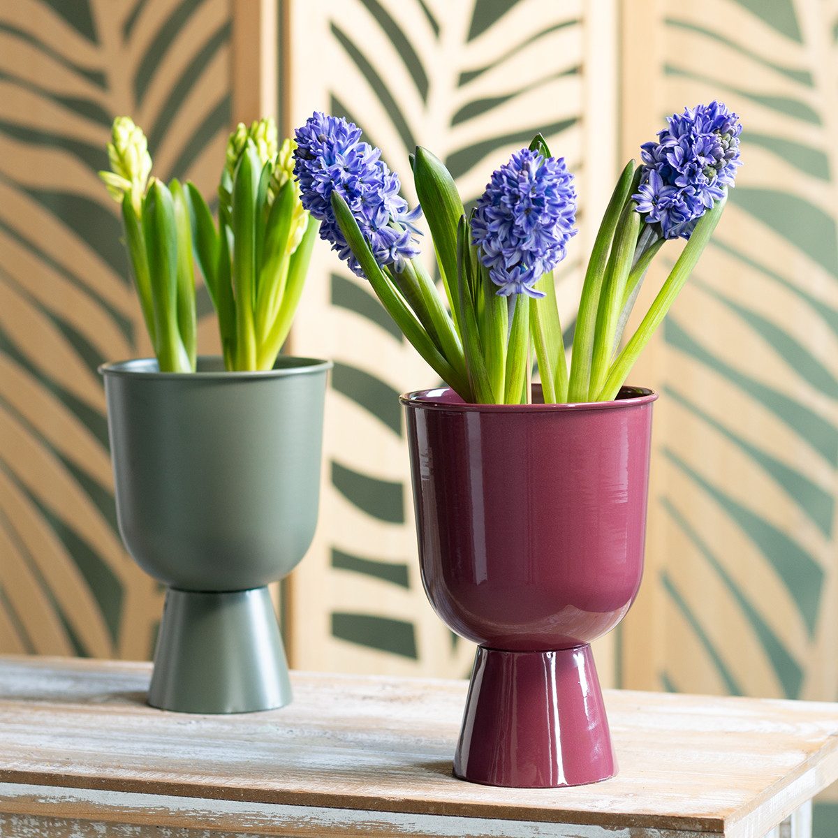 Florists Products Dekoschale Design Blumentopf Pokalform modern dekorativ für Wohn- und – Bild 3 von 5