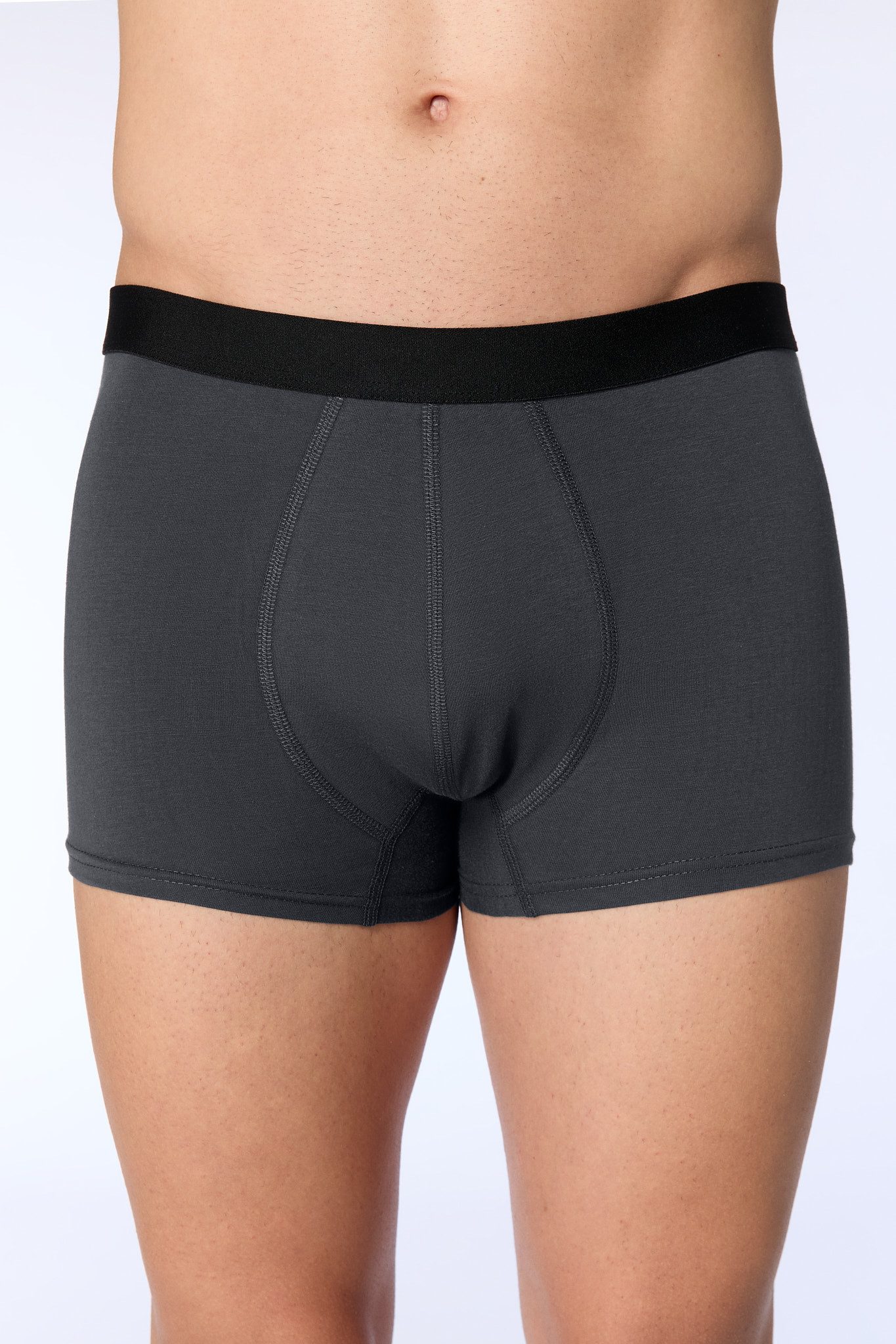 Boxershorts Trunk Shorts