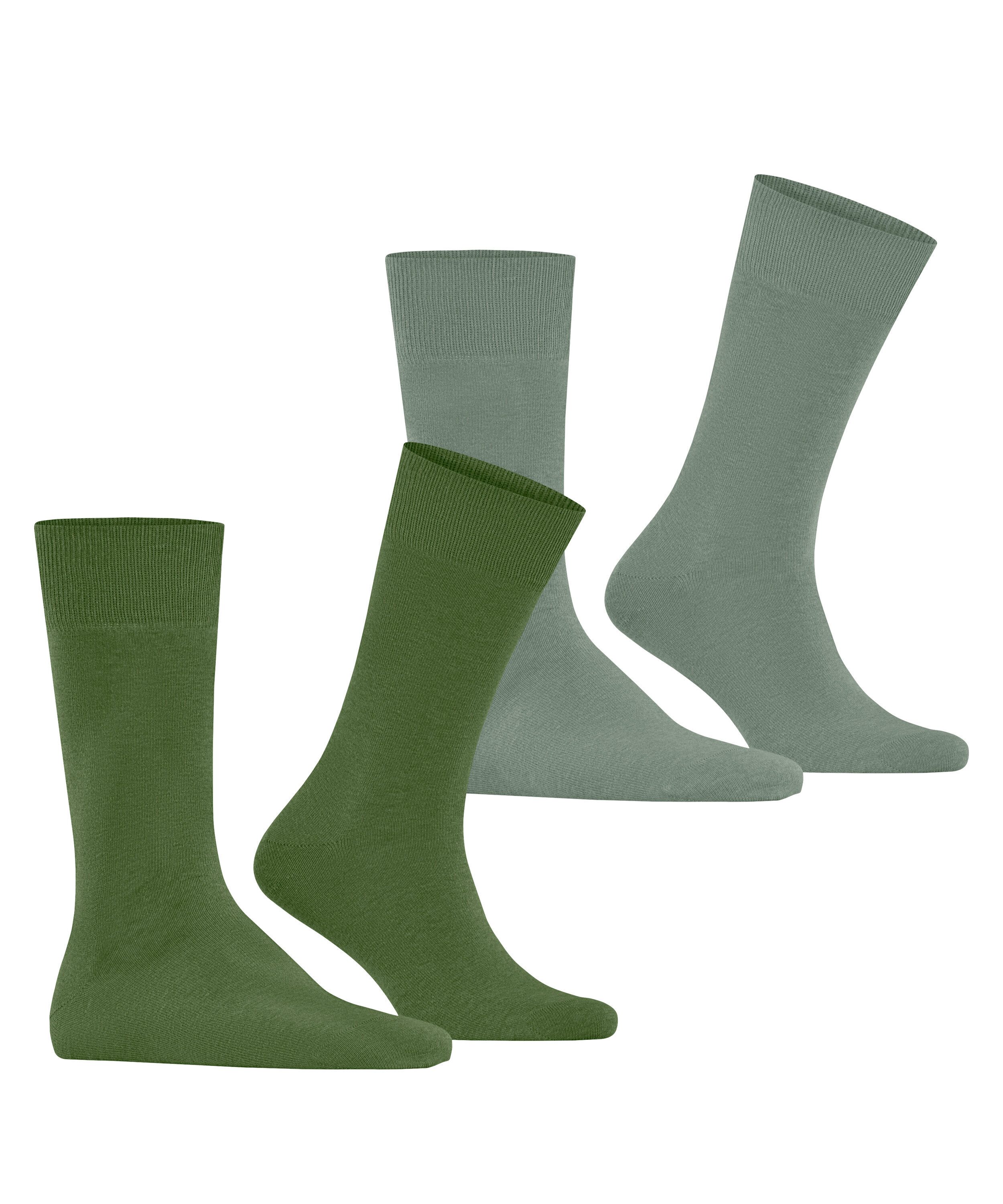 Burlington Socken Everyday 2-Pack (2-Paar) aus weicher gekämmter Baumwolle günstig online kaufen