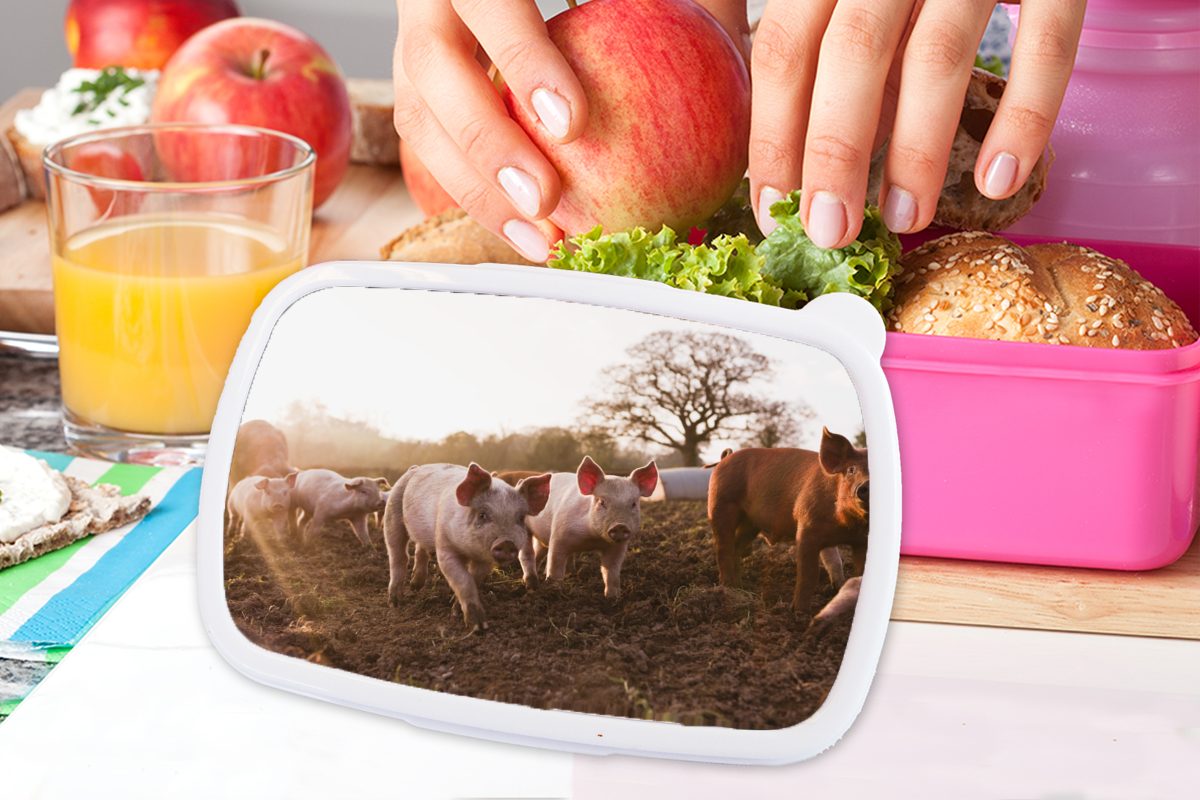 Lunchbox - rosa Kunststoff, Mädchen, Sonne, - Kinder, Schlamm Snackbox, Kunststoff Brotbox Erwachsene, (2-tlg), Brotdose Schwein für MuchoWow