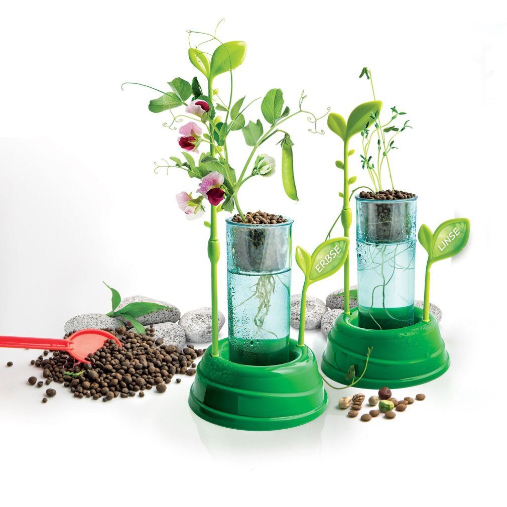 Clementoni® Zauberkasten Clementoni Botanik und Hydrokultur