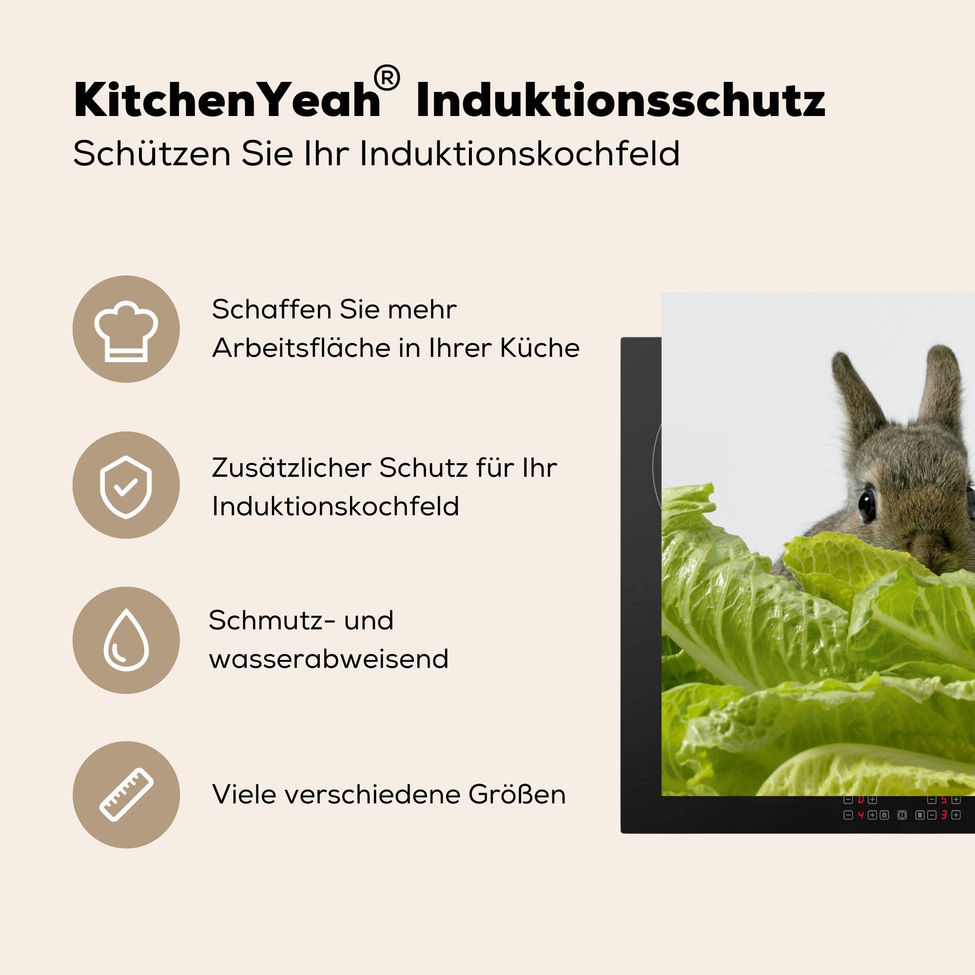 MuchoWow Herdblende-/Abdeckplatte Kaninchen - küche - Baby 78x78 für Ceranfeldabdeckung, cm, tlg), Kopfsalat, Arbeitsplatte Vinyl, (1