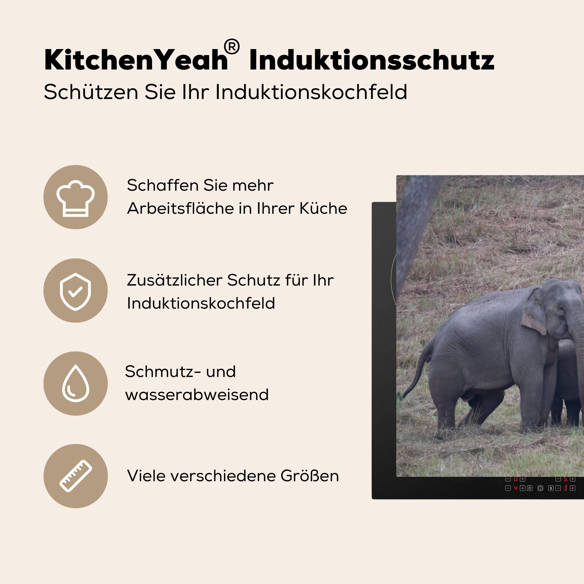 MuchoWow cm, 83x51 Herdblende-/Abdeckplatte Vinyl, tlg), Gras, Ceranfeldabdeckung, für küche Herde Arbeitsplatte Elefanten - - (1