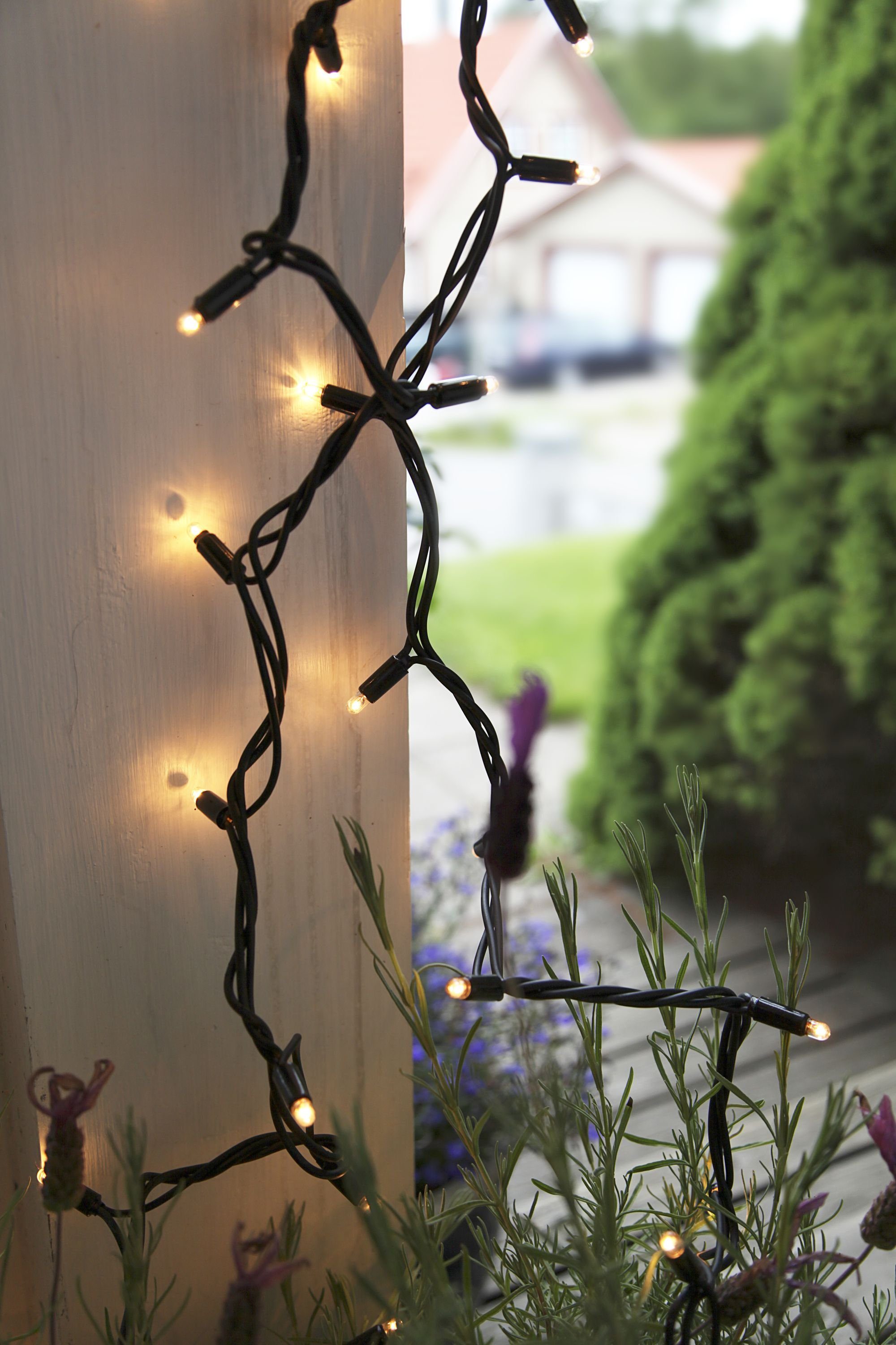 STAR TRADING LED Lichtleiste System Expo "Starter-Set" Lichterkette 10m für max. 2000W