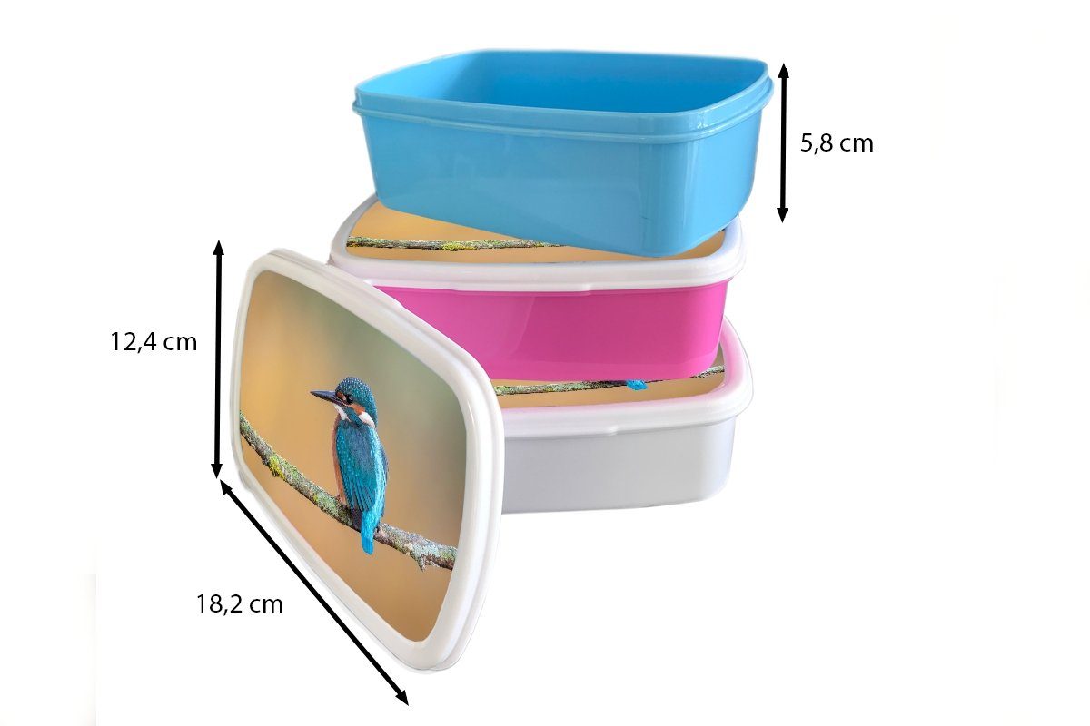 Zweig, (2-tlg), - Brotbox und Lunchbox für Jungs Vogel MuchoWow Eisvogel Erwachsene, und für - Kinder Brotdose, Mädchen - Tiere Kunststoff, weiß