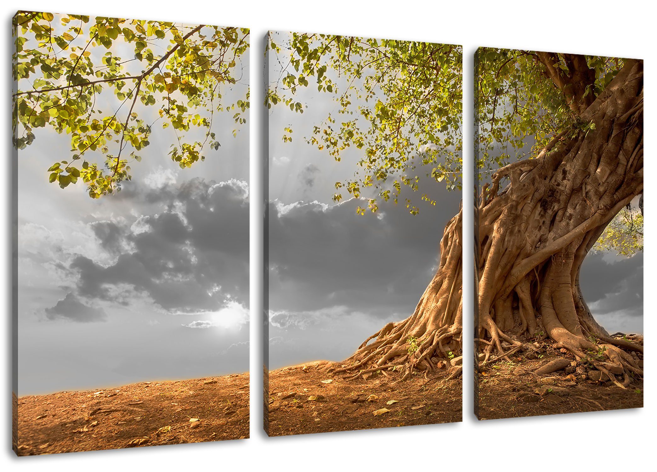 Pixxprint Leinwandbild Baum, Baum 3Teiler (120x80cm) (1 St), Leinwandbild fertig bespannt, inkl. Zackenaufhänger
