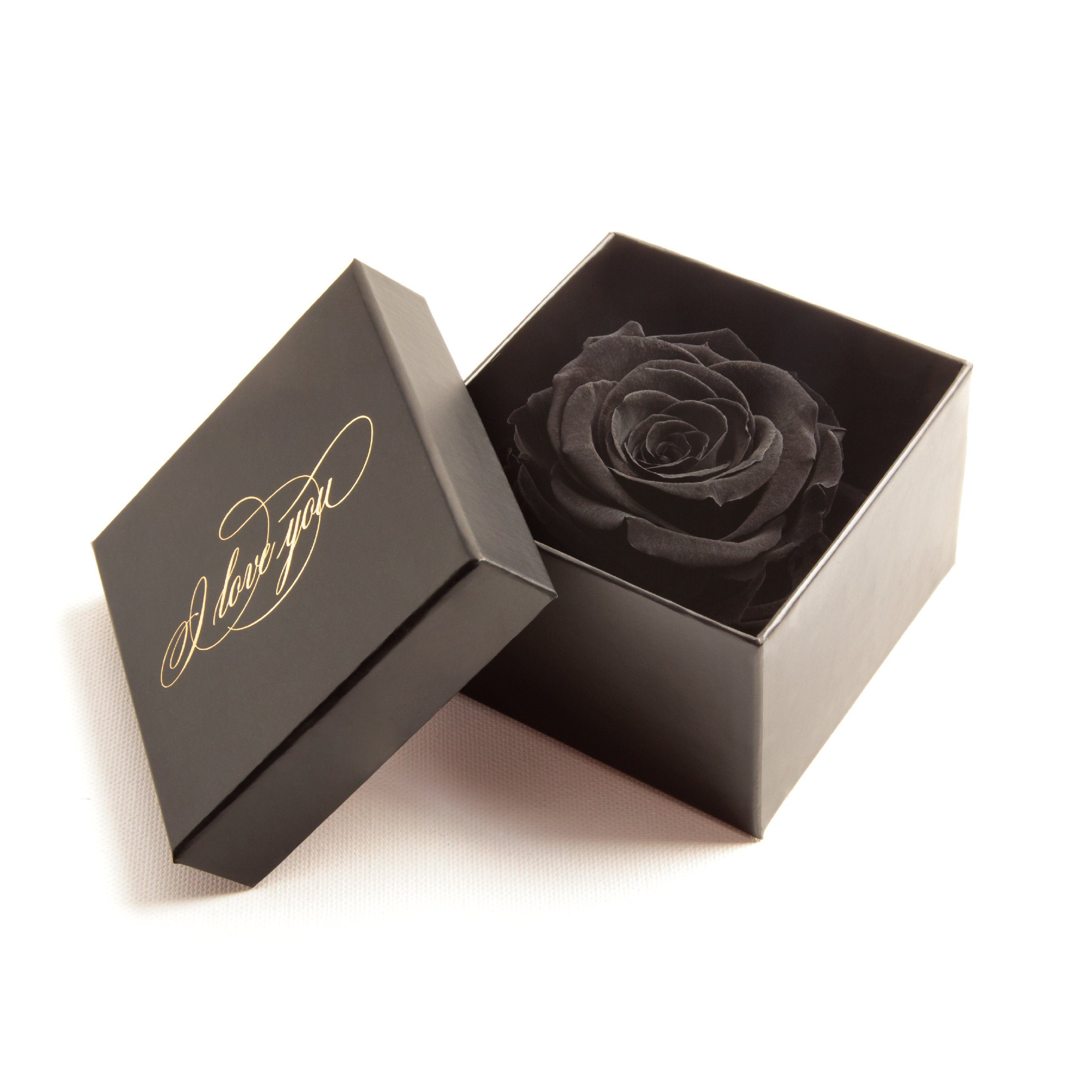 Kunstblume Infinity Rose Schwarz Höhe konserviert Liebesbeweis Box You Love cm, Geschenk Echte Rose, 6 ROSEMARIE Rose SCHULZ I Heidelberg, Idee