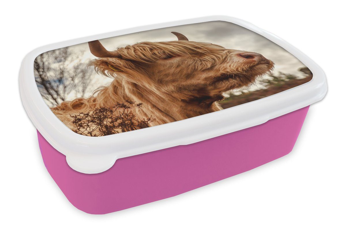 MuchoWow Lunchbox Scottish Highlander - Strauch - Heidekraut, Kunststoff, (2-tlg), Brotbox für Erwachsene, Brotdose Kinder, Snackbox, Mädchen, Kunststoff rosa