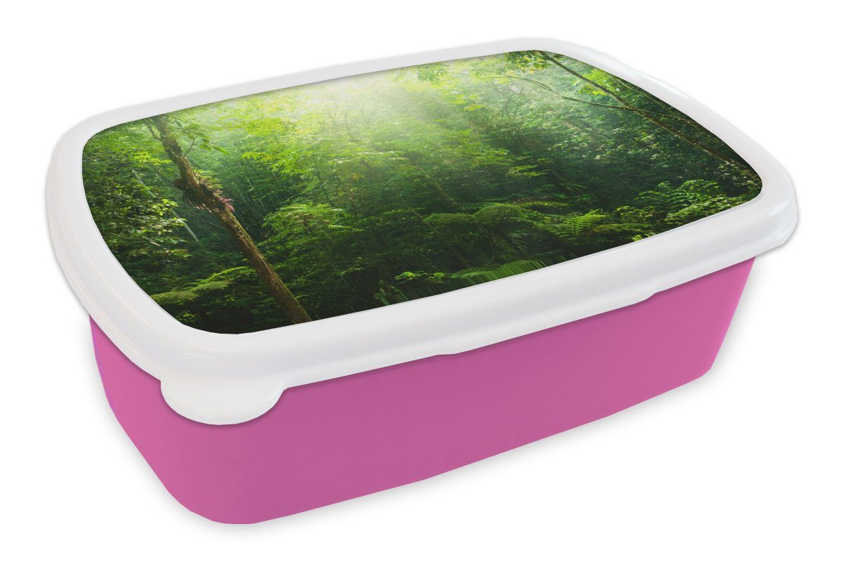 Snackbox, rosa Brotdose Sonnenlicht - Lunchbox Erwachsene, Kinder Brotbox Kinder, Mädchen Kunststoff, Kunststoff (2-tlg), Dschungel für - - Mädchen, Jungen, - - Grün MuchoWow