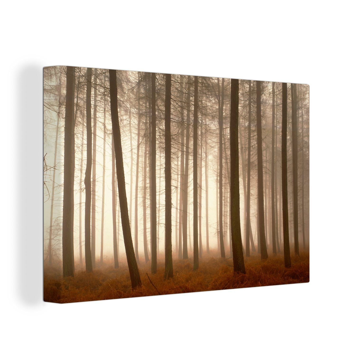 OneMillionCanvasses® Leinwandbild Wald - Nebel Baum, - Wanddeko, cm Wandbild (1 30x20 St), Leinwandbilder, Aufhängefertig