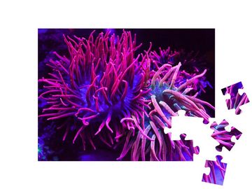 puzzleYOU Puzzle Strahlend violette Korallen in einem Aquarium, 48 Puzzleteile, puzzleYOU-Kollektionen Unterwasser