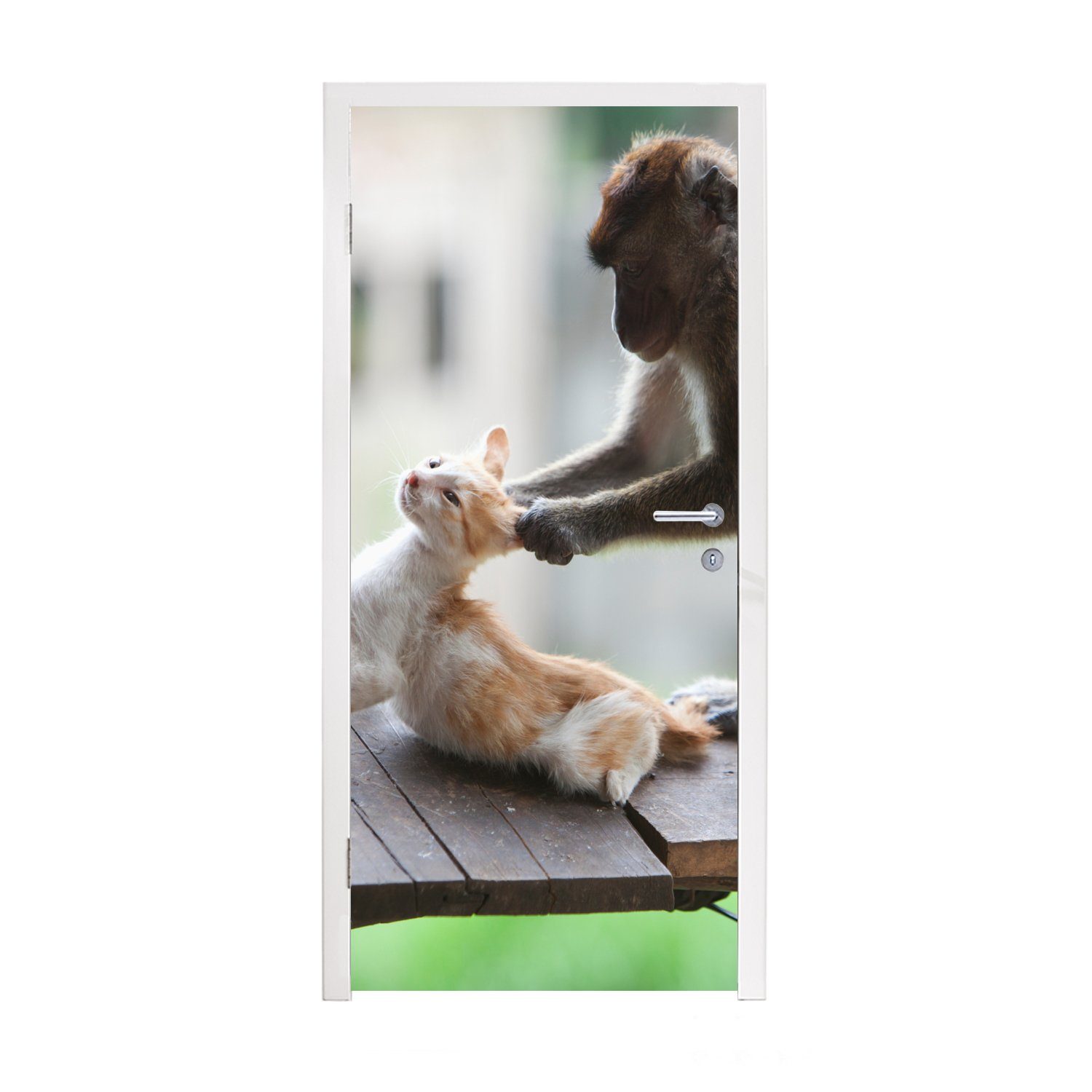 MuchoWow Türtapete Katze - Affe - Holz, Matt, bedruckt, (1 St), Fototapete für Tür, Türaufkleber, 75x205 cm | Türtapeten