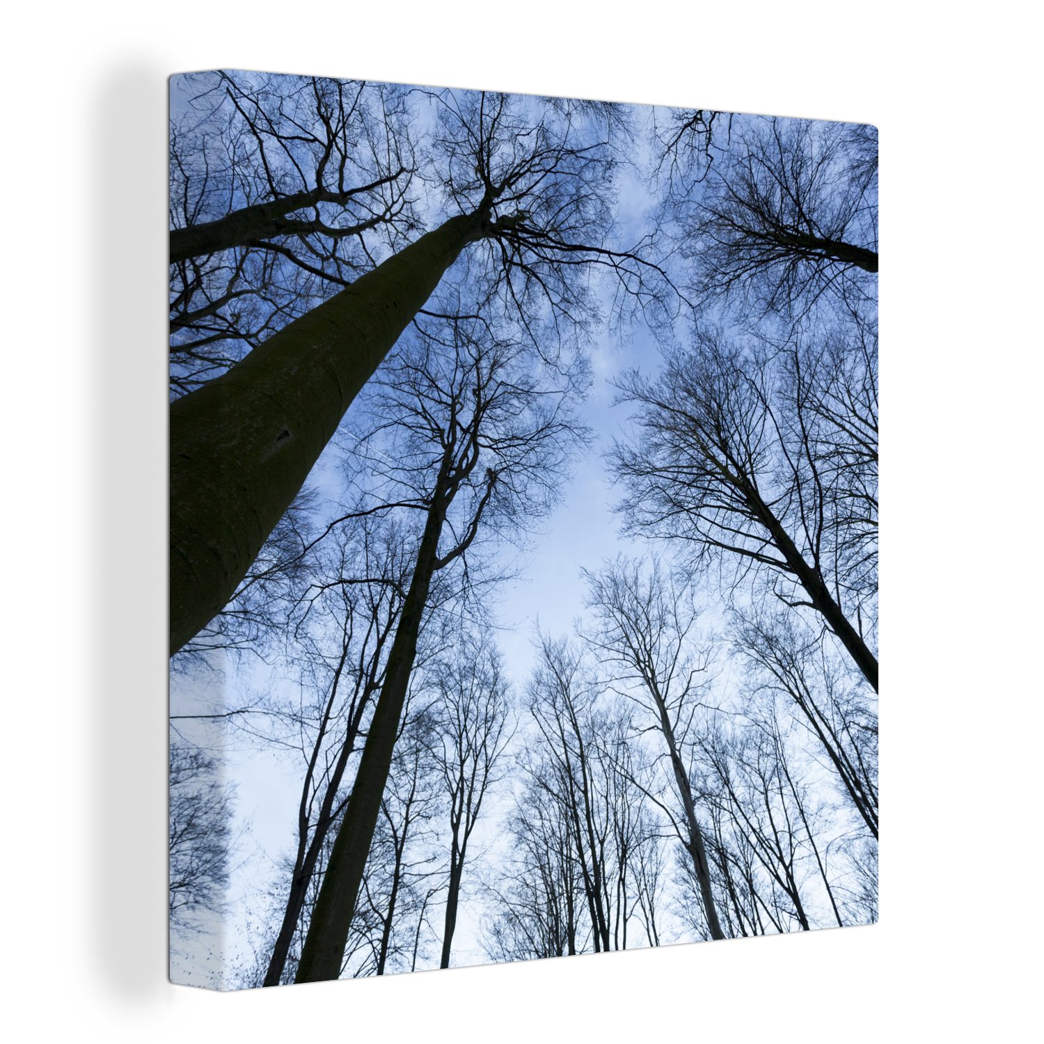 OneMillionCanvasses® Leinwandbild Wald - Bäume - Himmel, (1 St), Leinwand Bilder für Wohnzimmer Schlafzimmer bunt
